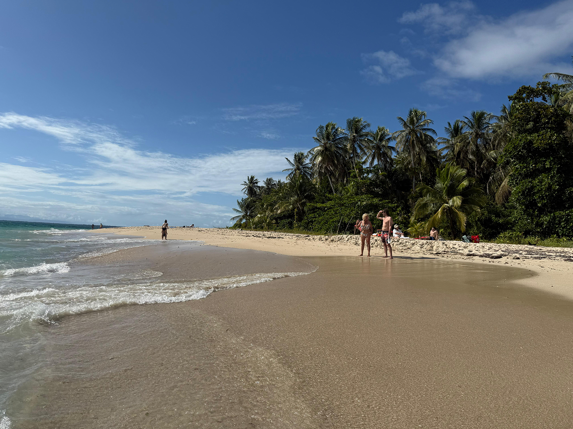 eea8cc76-d9b7-4f6d-907f-624d2781604b 1.png