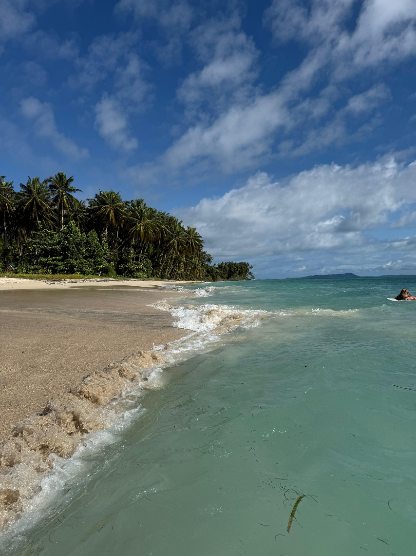 d7f934ea-4bce-49ce-ab76-c9051332c3a7 1.png