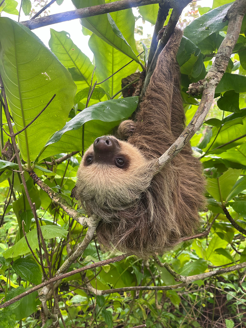 494C2456-8514-4209-912D-FD16E23E3F68 1.png