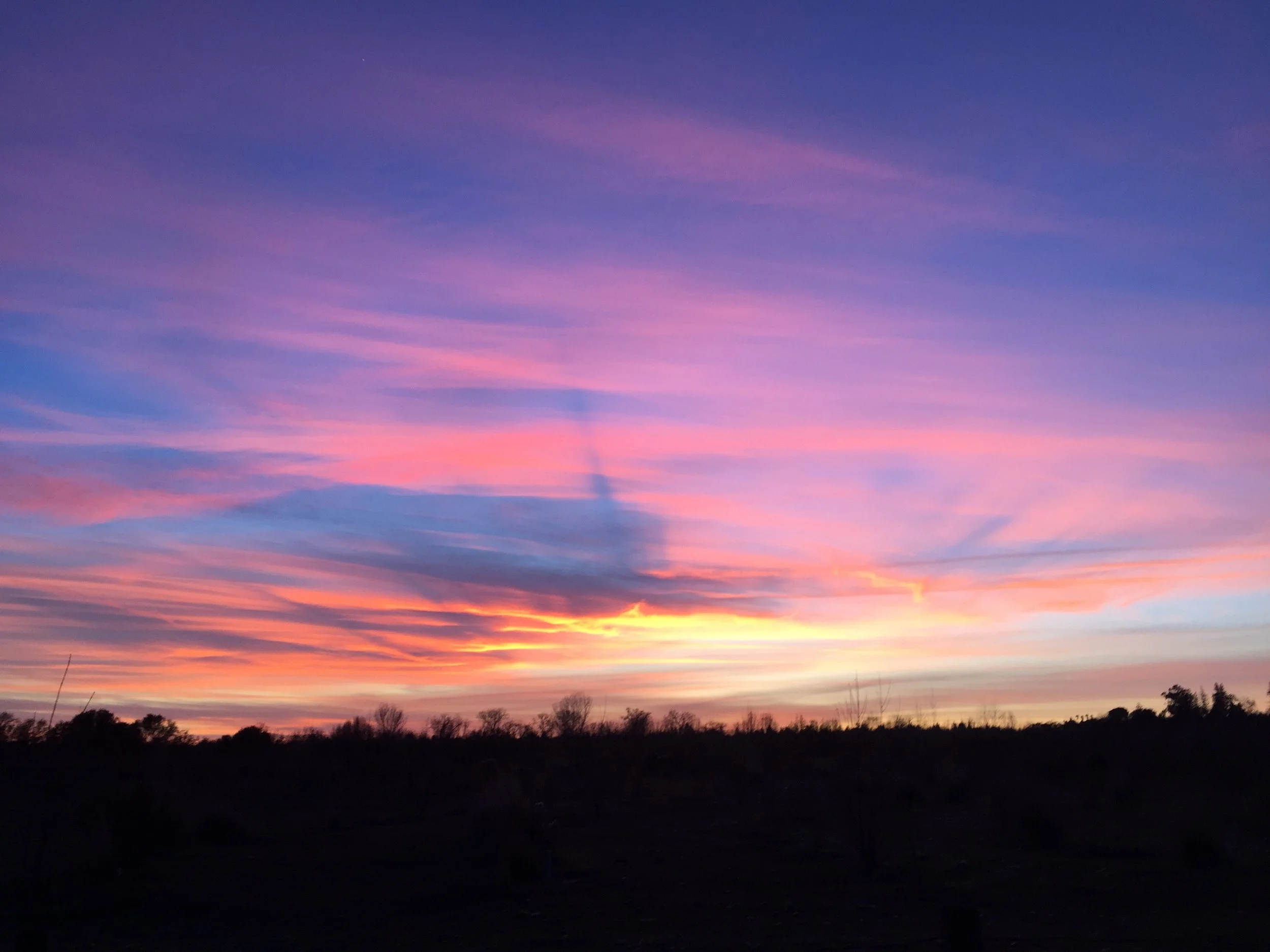 Jackson Demonstration State Forest Management Plan Comments