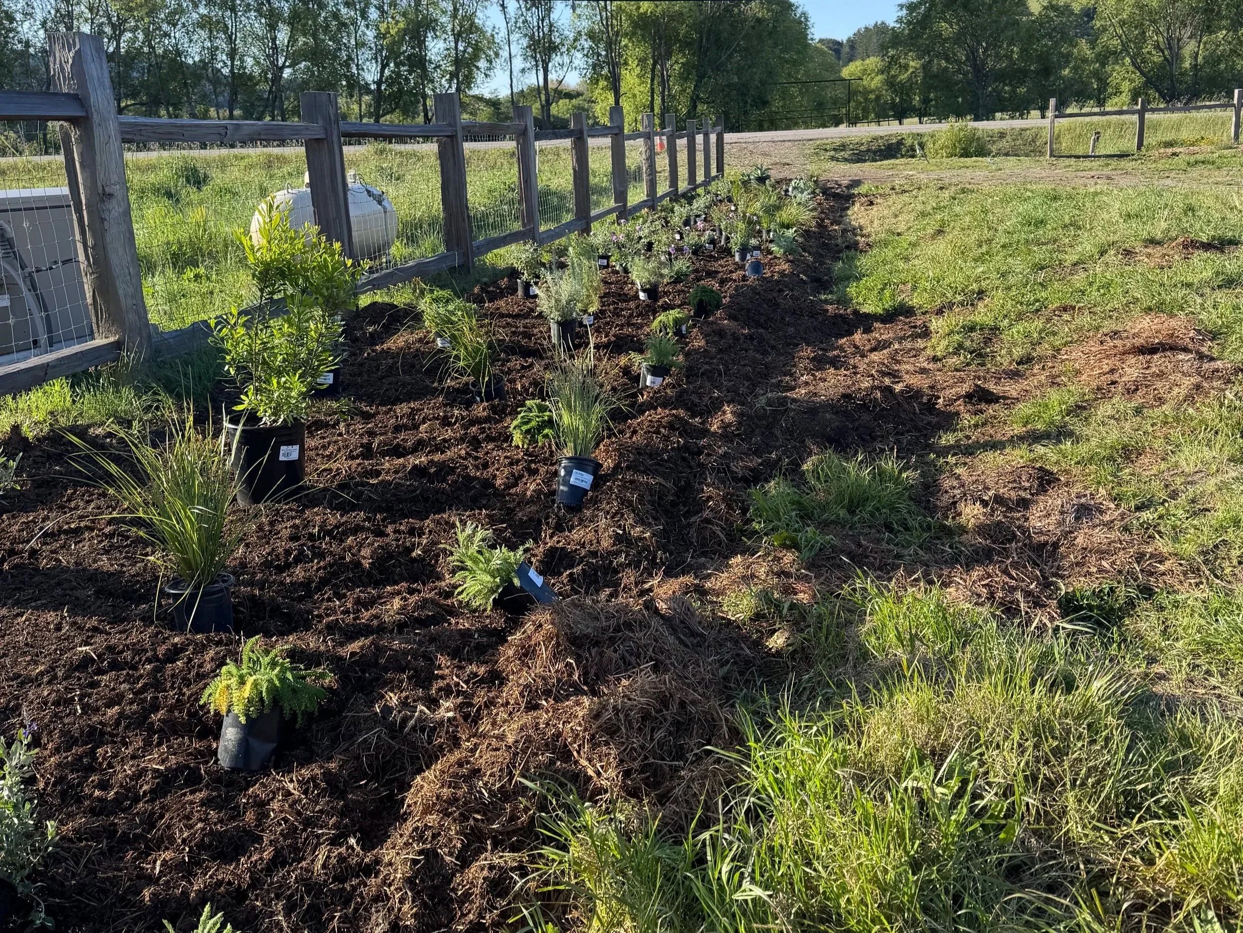 A garden bed with various potted plants and flowers, enclosed by a wooden fence, with a grassy field and trees in the background, under a clear blue sky.