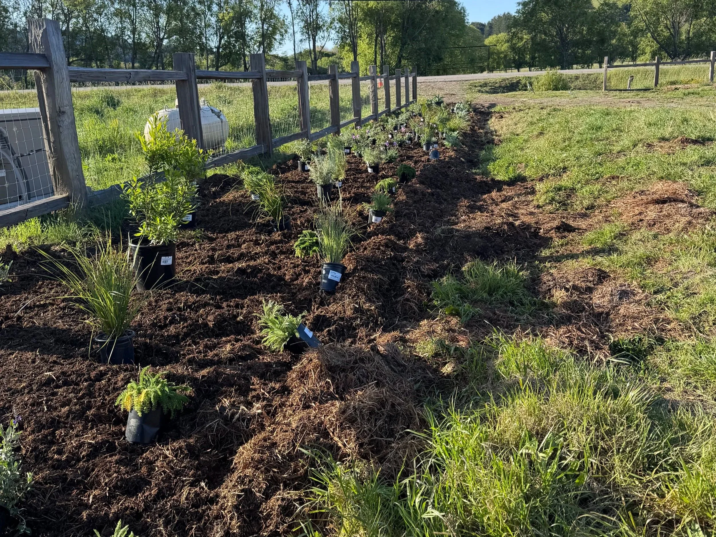 A garden with freshly planted flowers and shrubs along a fence, and a grassy field and trees beyond.