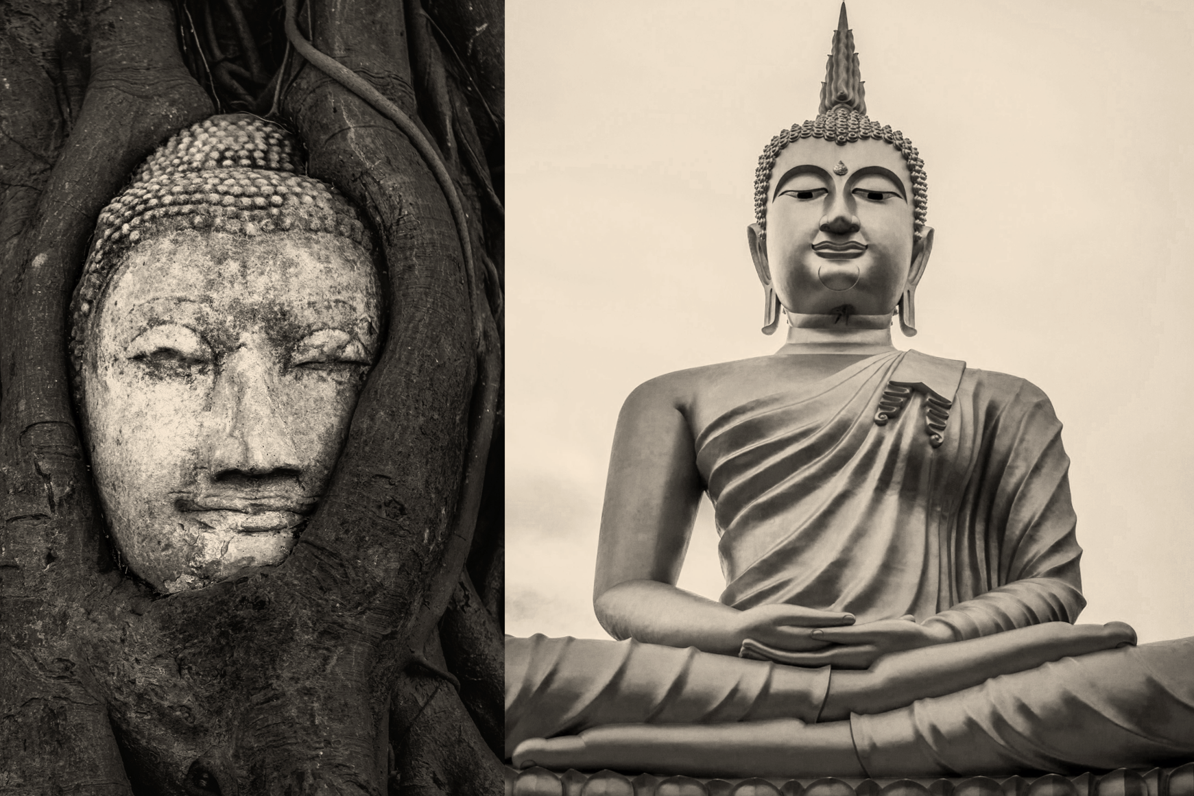 01.a: Reflection Prompts on the Preface Story