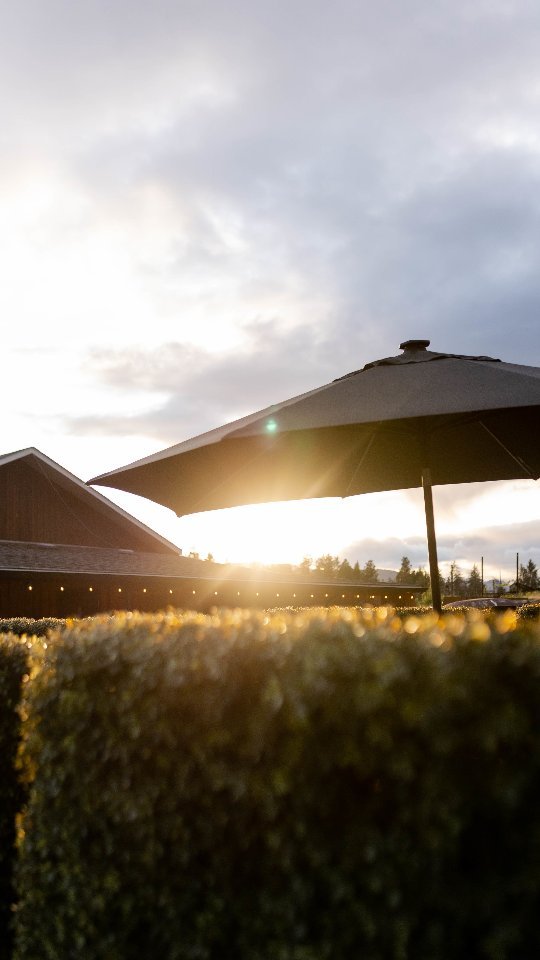 “What makes you happy?” Us: You.
You — sipping wine with your people.
You — dancing at Live in the Vineyard.
You — choosing to spend your summer days with us.
This month, Blind Tiger turns 10, and we’re throwing