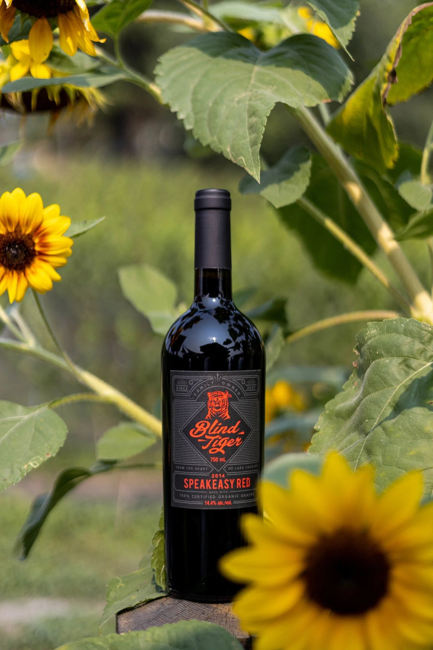This isn’t your everyday red…
Say hello to our classic Bordeaux Blend 🍷
Full-bodied, fruit-forward, and perfect for cozy nights or big celebrations.
Think cherries, plums, blackberries, and a little cedar spice.
Wine tip: it loves