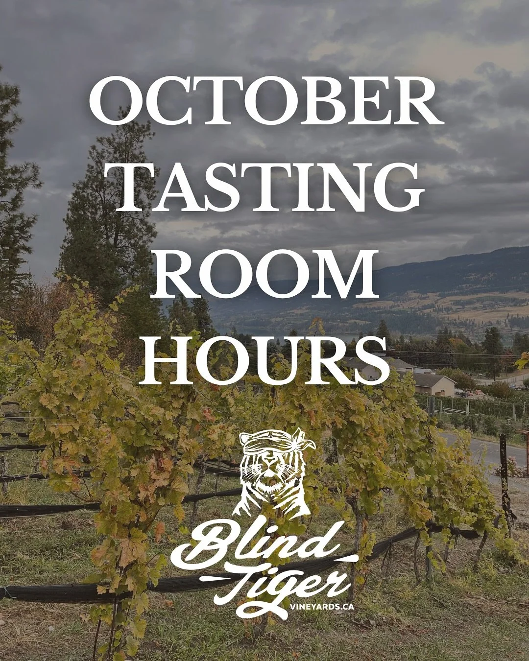 Even though the weather is starting to turn and the air is getting crisper we aren’t totally ready to say goodbye! 
Our tasting room is open for the month of October from 12-5 Tuesday - Saturday so you can come by and enjoy a tasting as well a