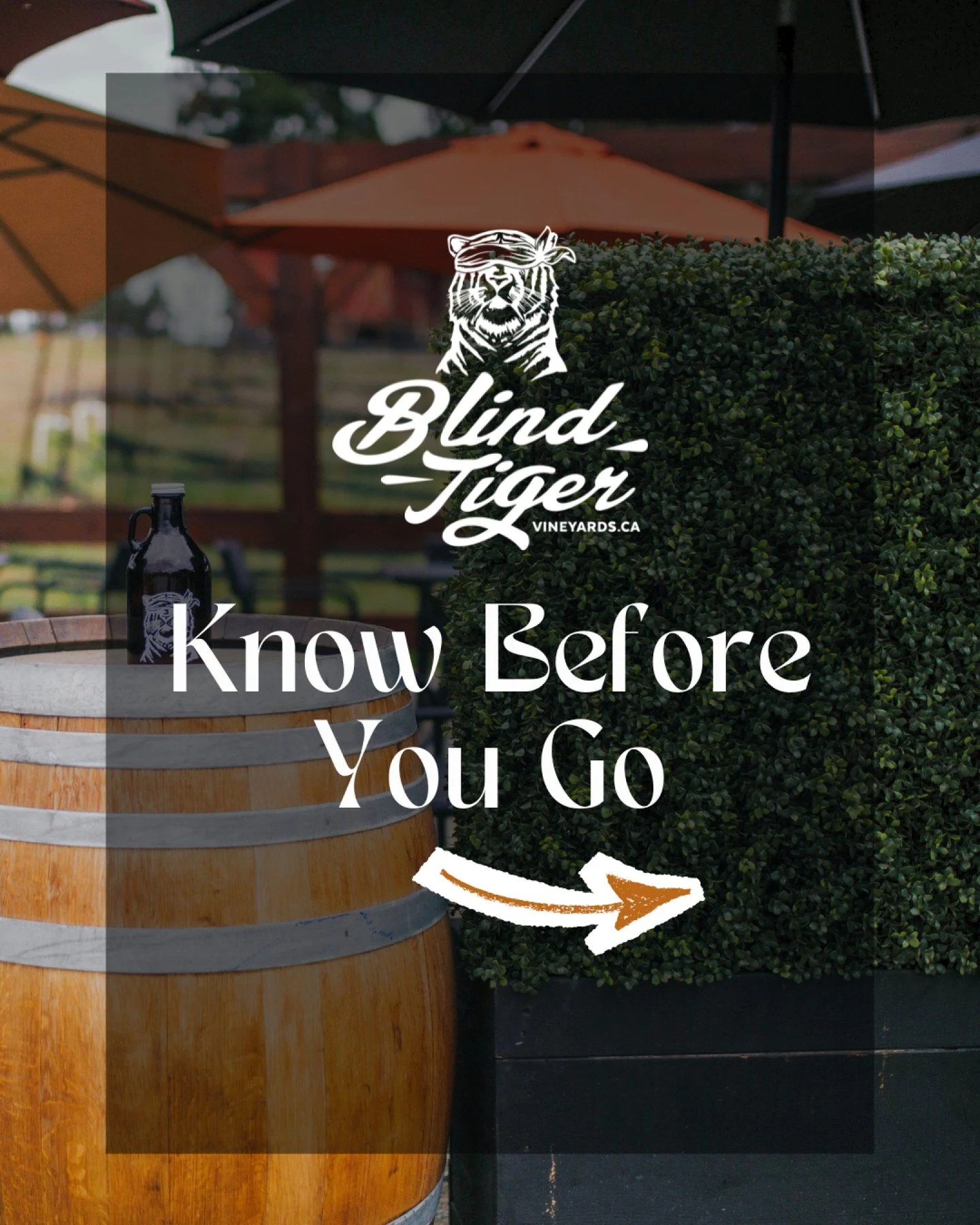 Your Blind Tiger cheat sheet for the season has arrived 🍷🍕

Everything you need to know before visiting us &mdash; hours, tastings, pizza, concerts, patio details, pups, and more.

Give it a swipe, save it for later, and send it to the friend who s