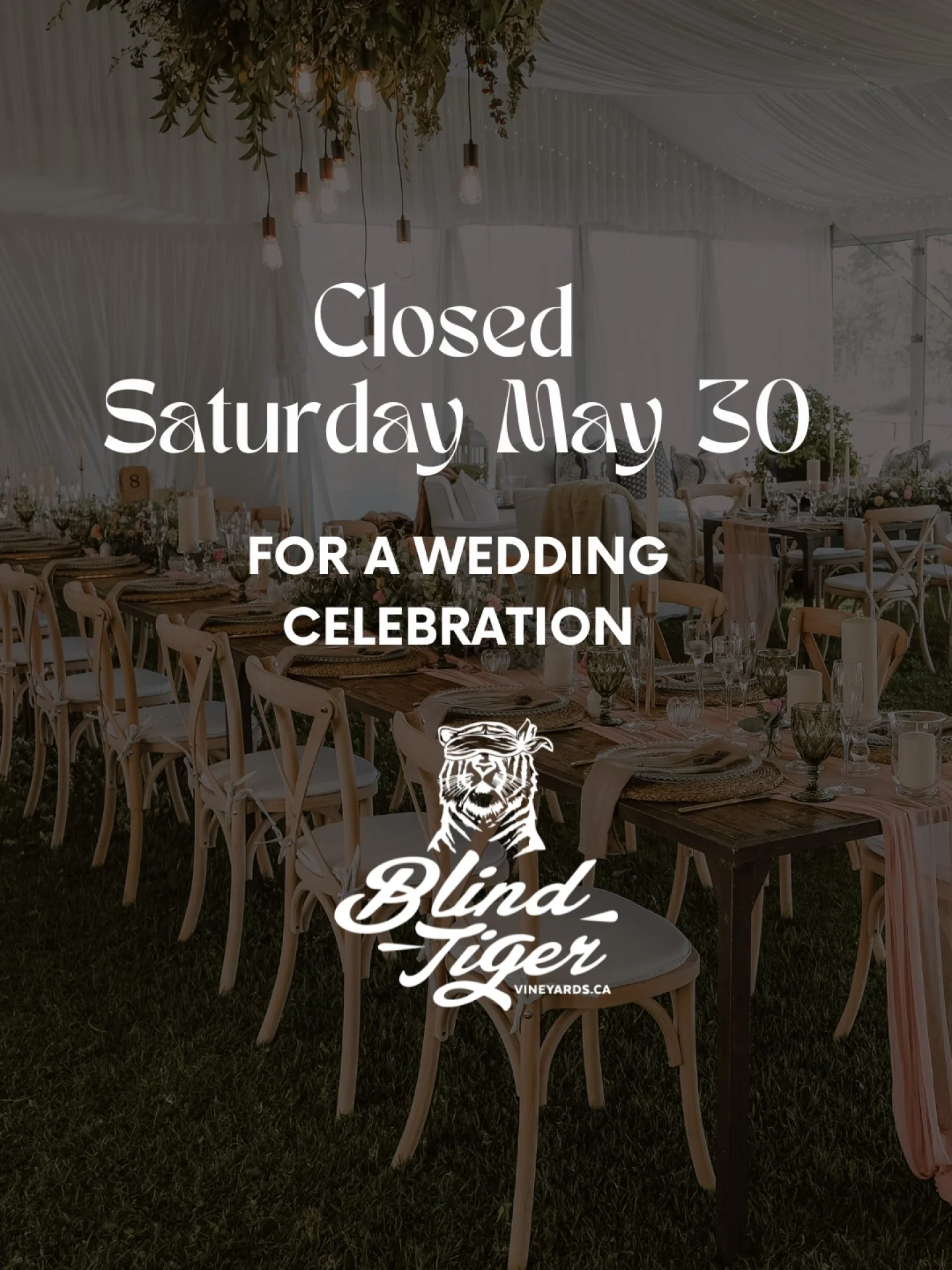 A little weekend update for you✨

Blind Tiger Vineyards will be closed Saturday, May 30th as the winery transforms into a wedding venue for the day! 💍

We&rsquo;ll still be open regular hours on Friday and Sunday for tastings, patio drinks, pizza, a