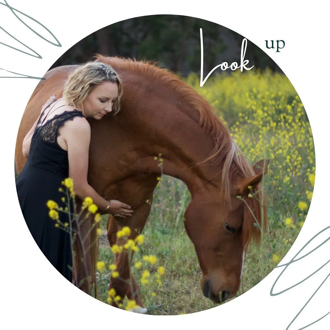 This horse was my childhood. We were together for over 20 years. Last May, her arthritis advanced to the point it was time to let her go. 

When I was creating this graphic, I didn't realize the scribble on the top resembled an angel's wing until now