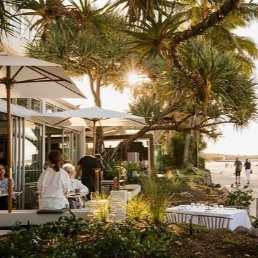 Your Guide to the Best Beachside Dining Experiences in Noosa