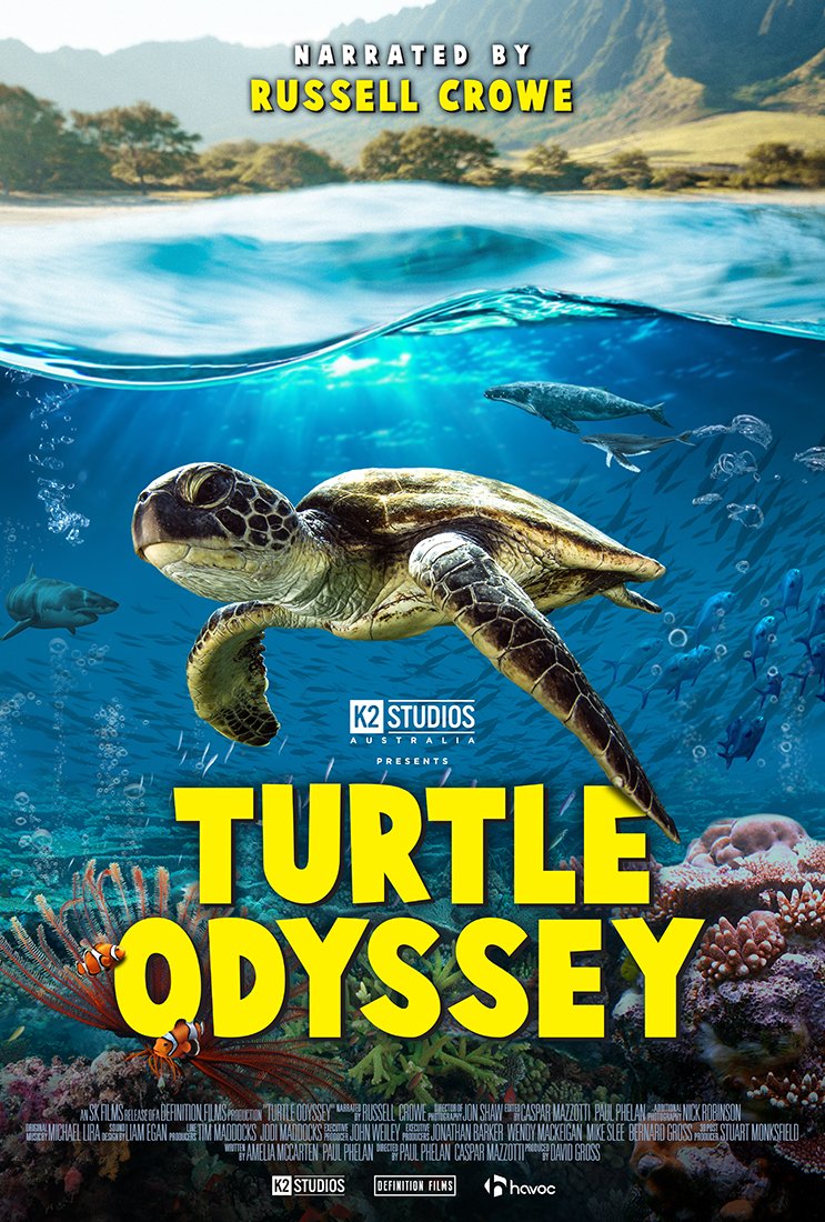 Turtle Odyssey Web.jpg