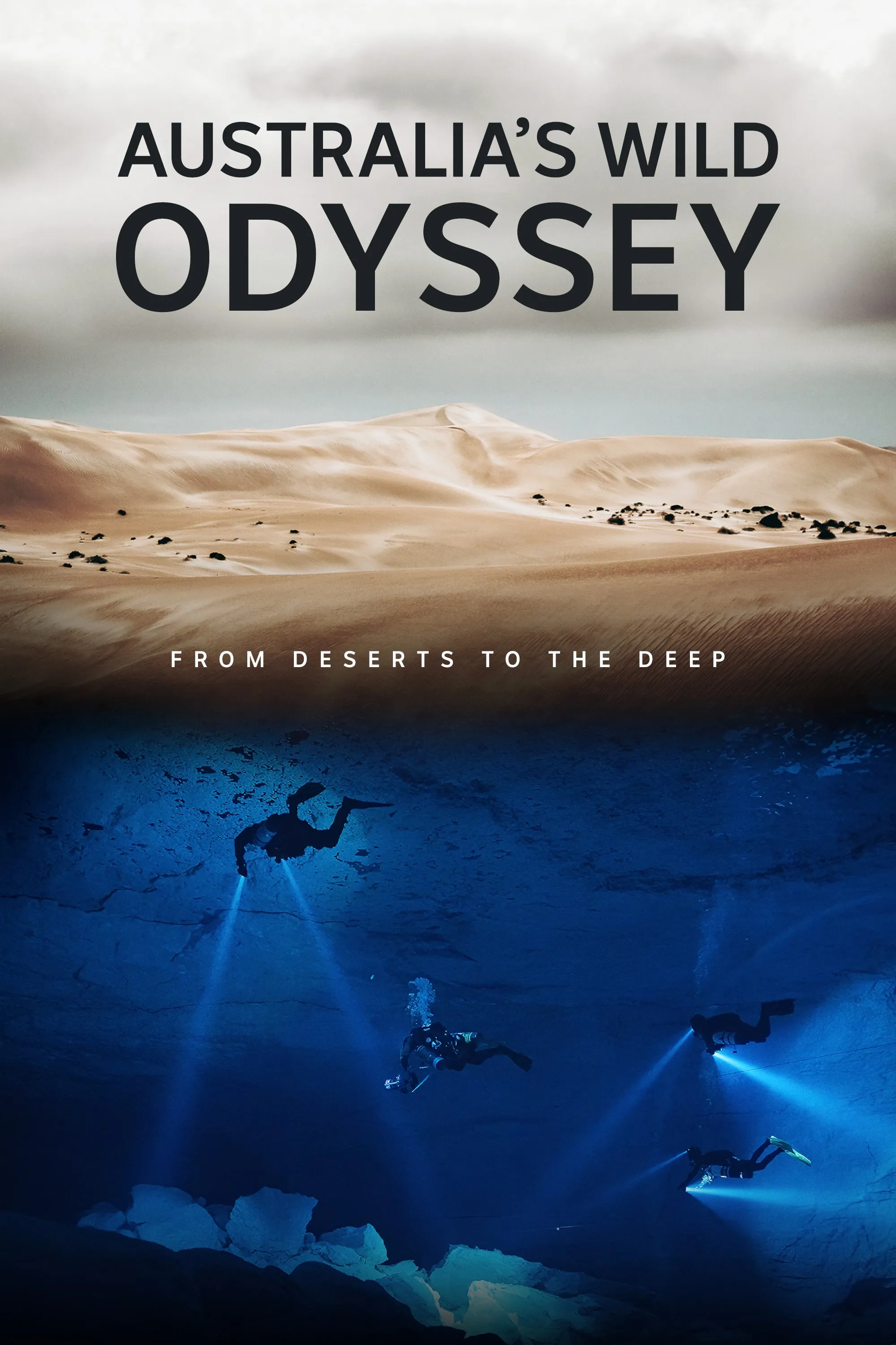 Wild Odyssey Poster.png