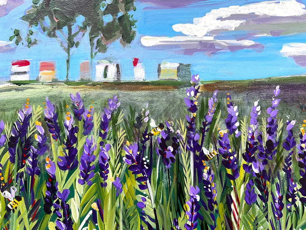 Lavender Field - closeup.jpg