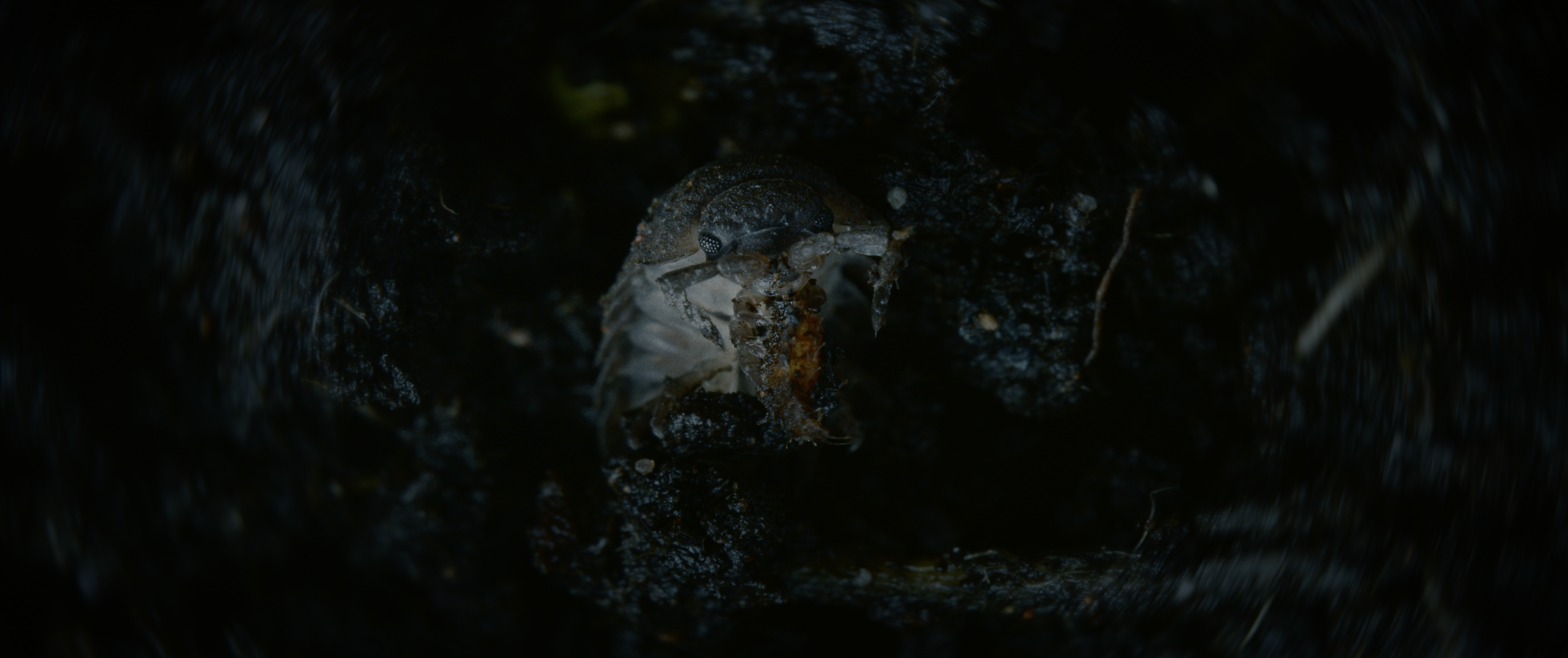 Screenshot 2025-06-28 at 1.53.47 AM.PNG