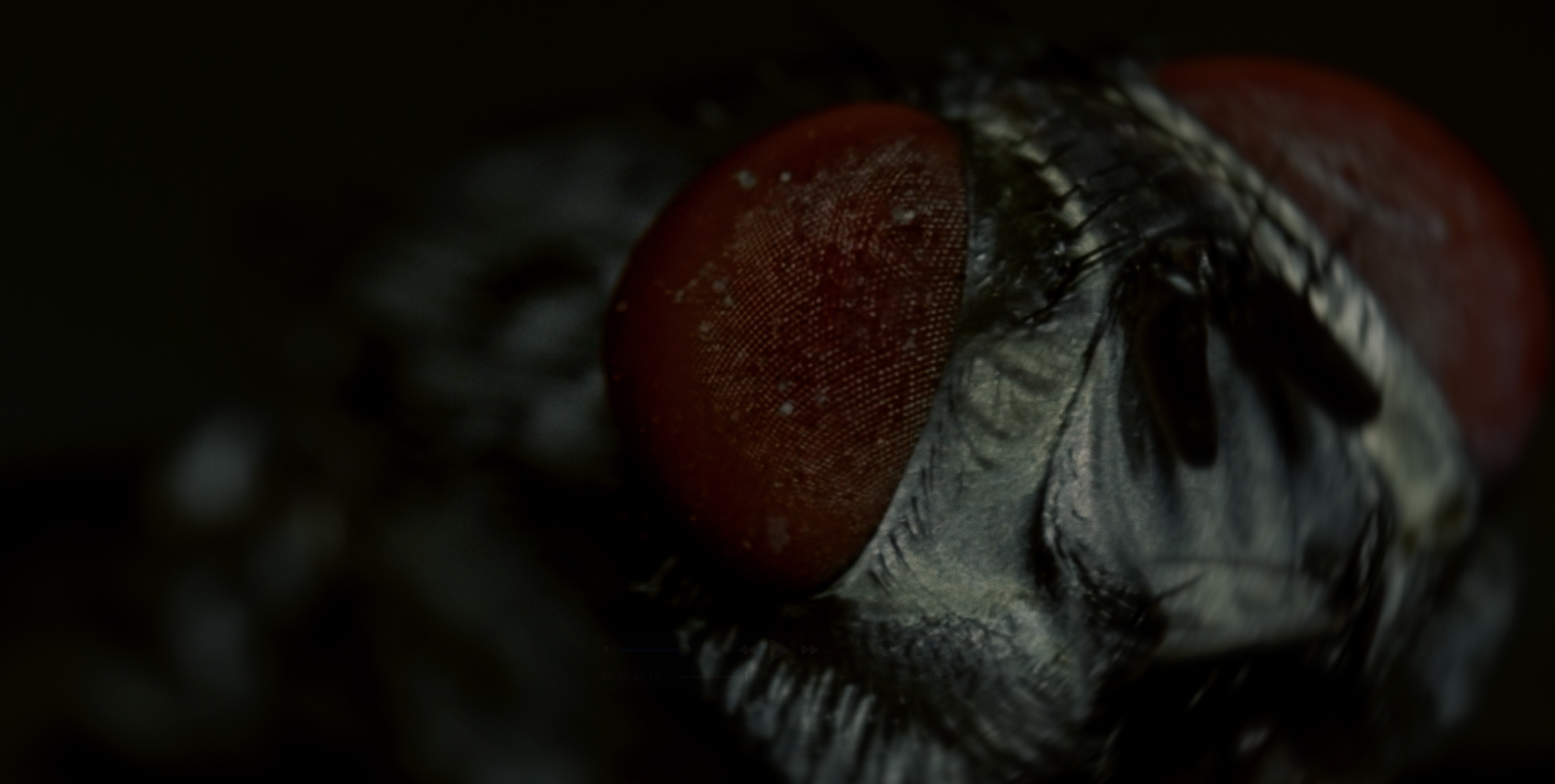 Screenshot 2025-06-28 at 1.58.09 AM.PNG