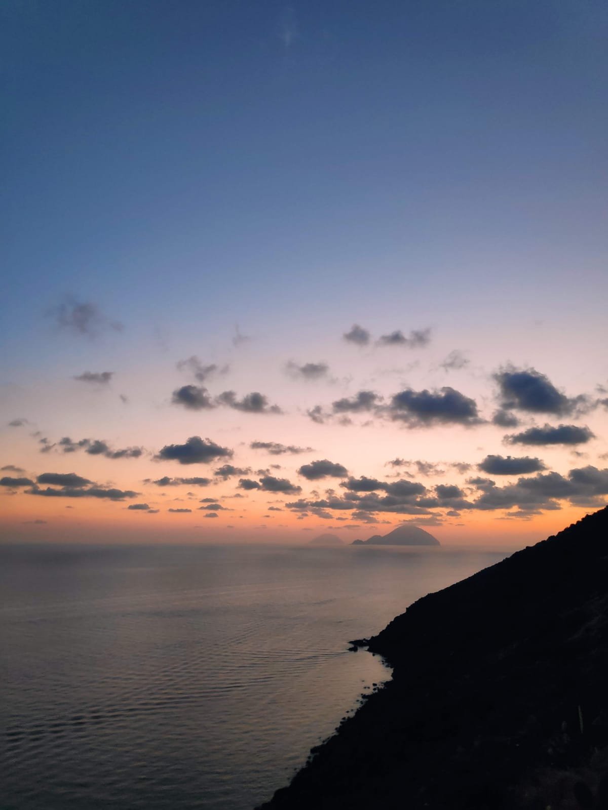 WhatsApp Image 2022-05-10 at 10.57.28.jpeg