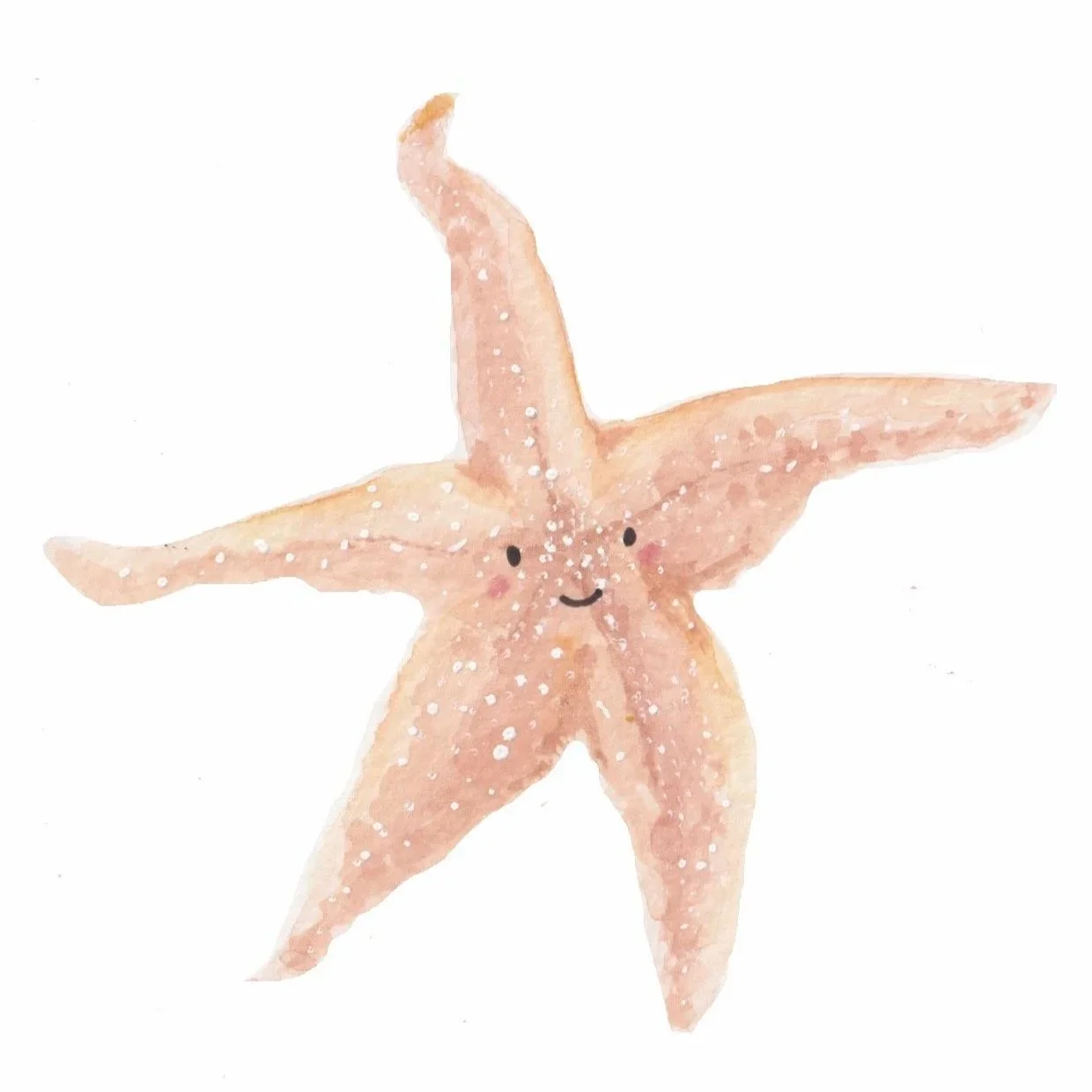 Starfish Greeting Card Watercololour  illustration