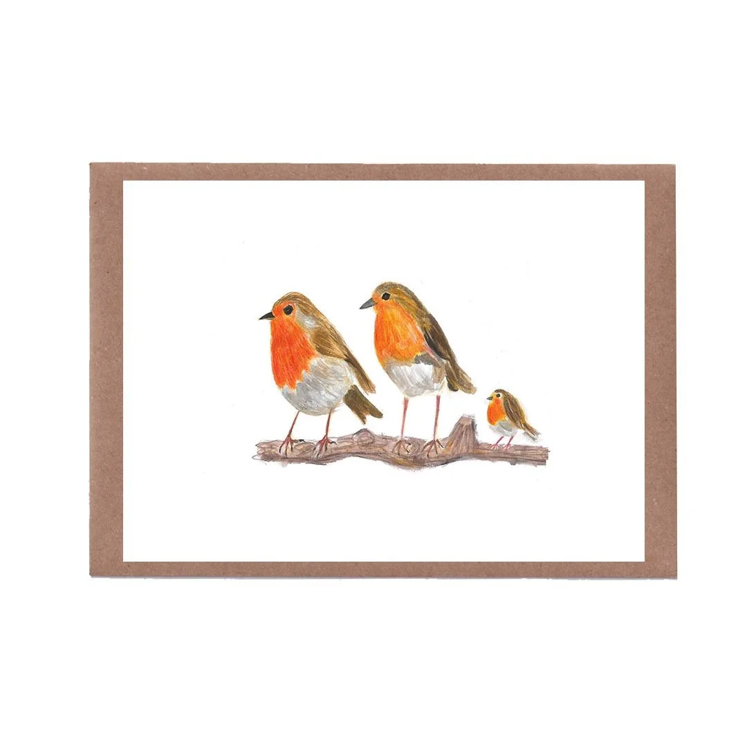 PACK OF 5 Robin Family Cards