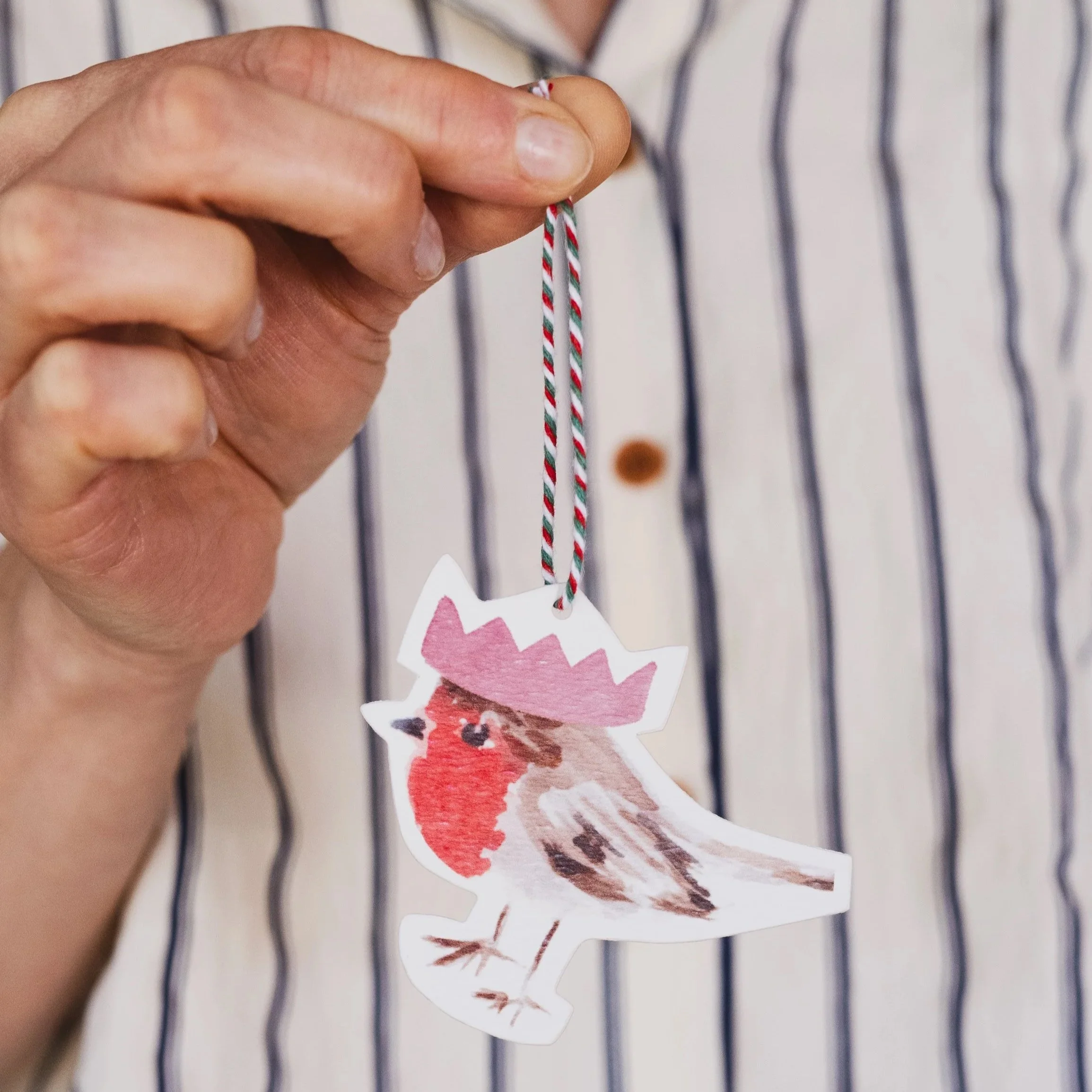 Robin Christmas Gift Tag
