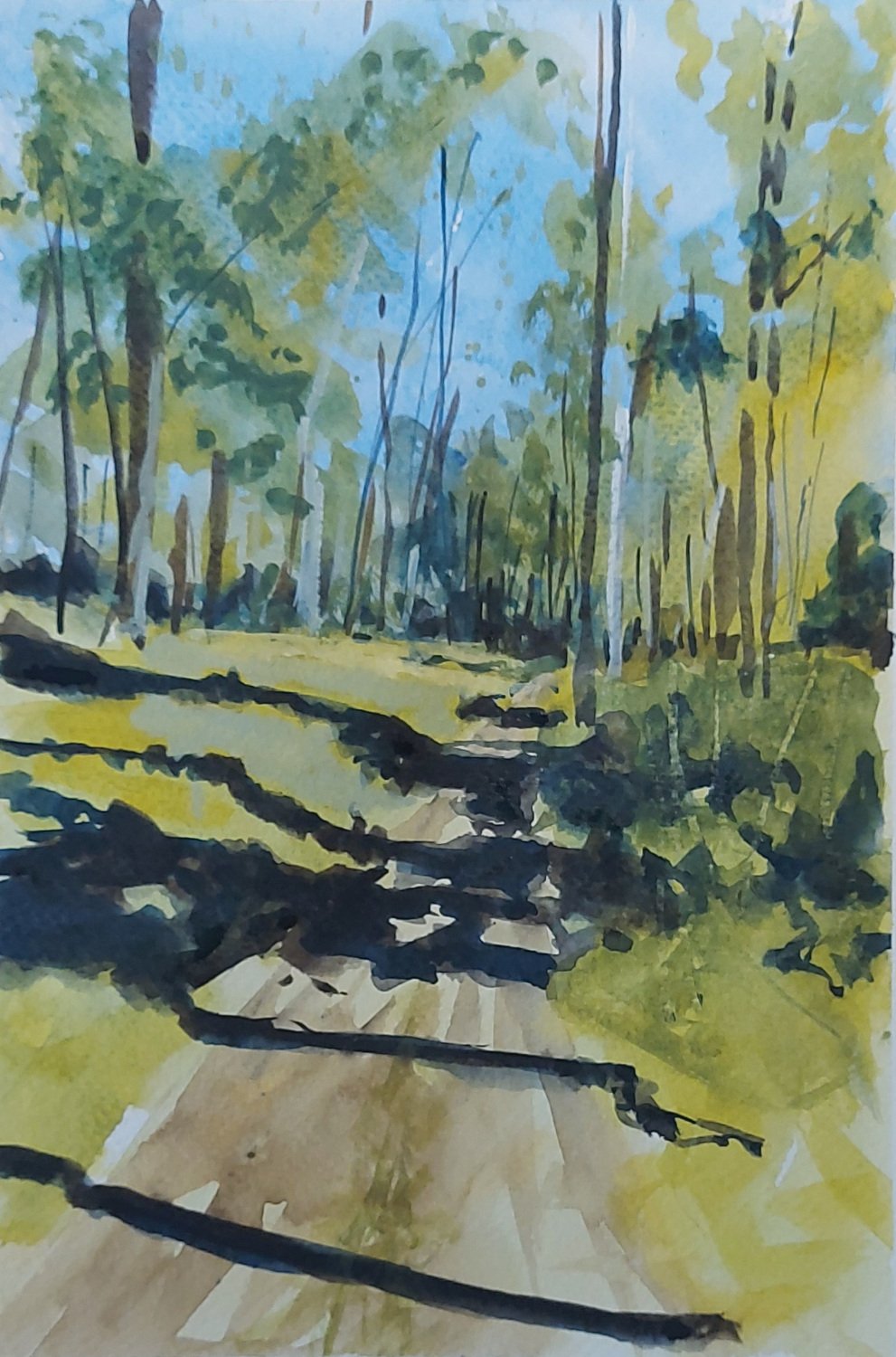 Into the woods