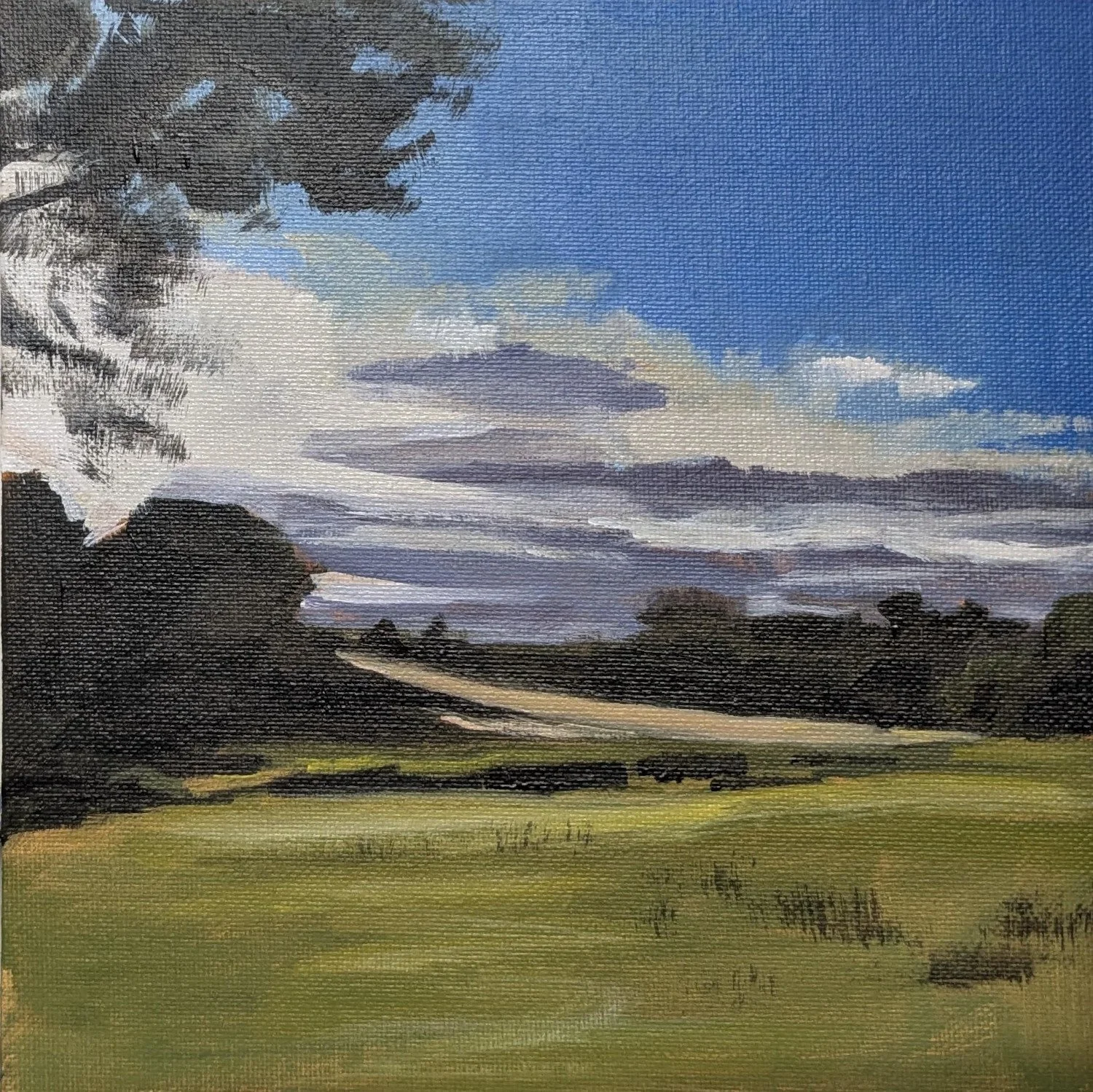 Jubilee Meadow. Acrylic on board (available)