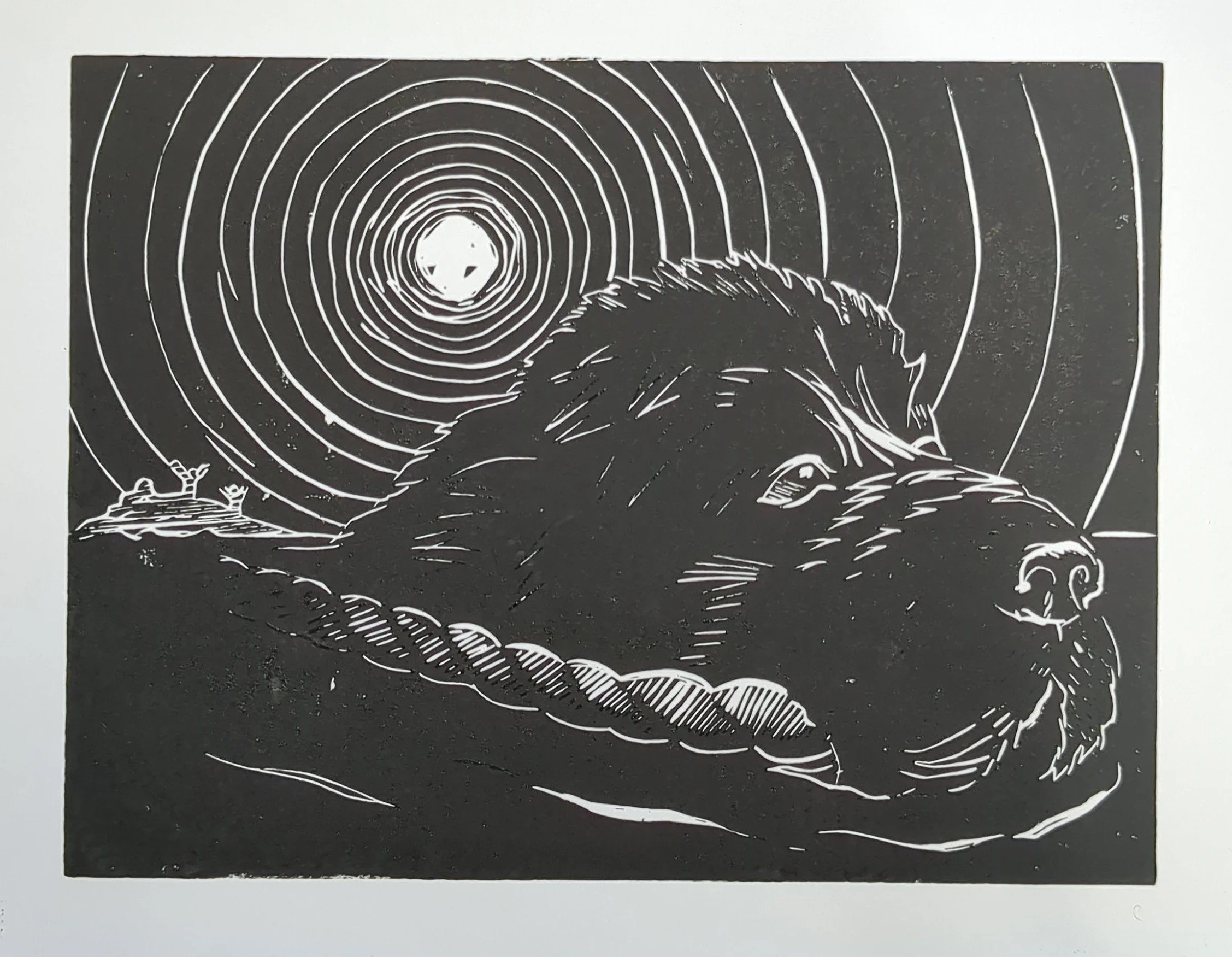 Hairy Man and the rescue of the survivors of the wreck of The Despatch