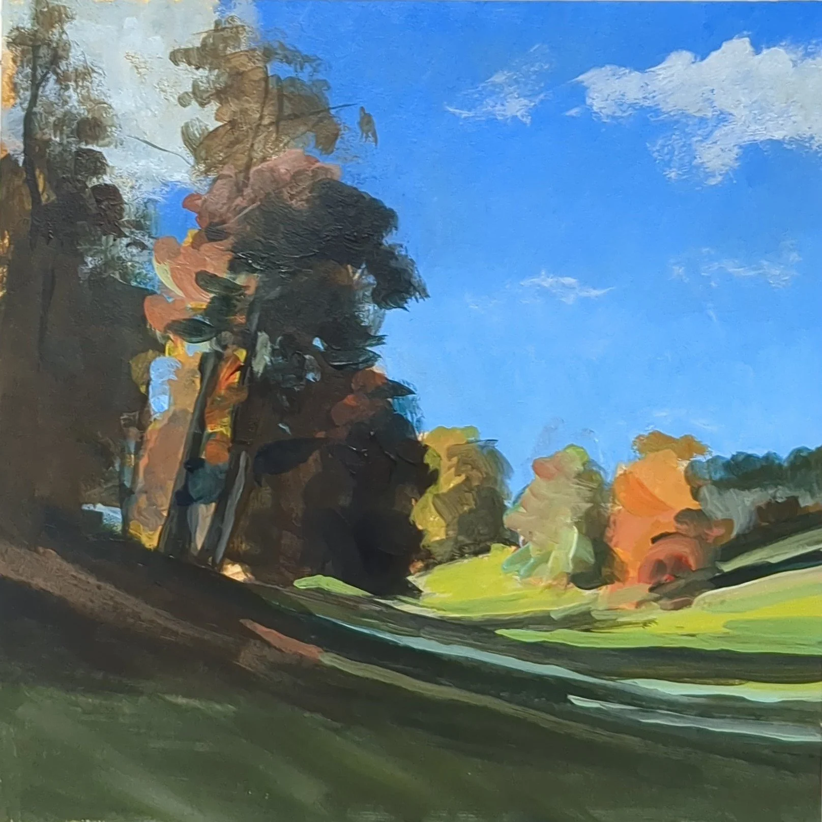 Blenheim Park, autumn sun (sold)