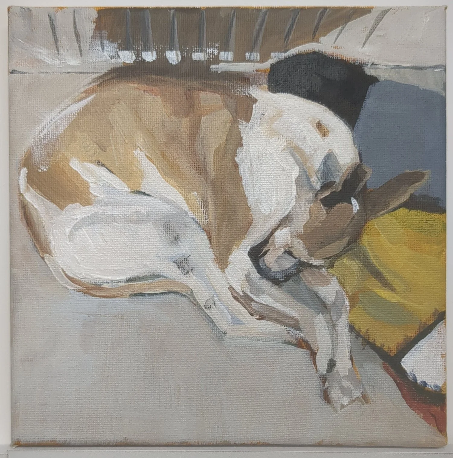 Dotty (available)