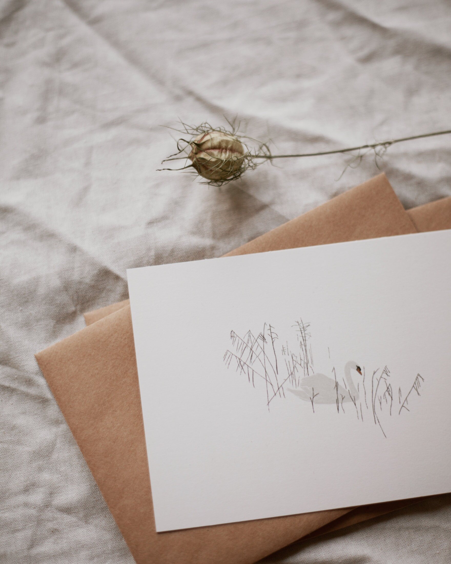 https://i.etsystatic.com/15606479/r/il/367c76/3298411101/il_fullxfull.3298411101_qp5s.jpg