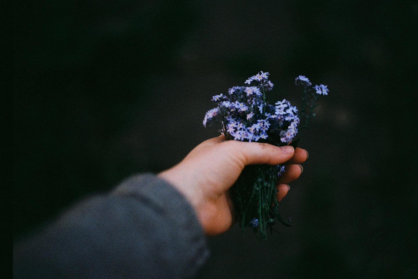 Forget me not 
#analog #35mm