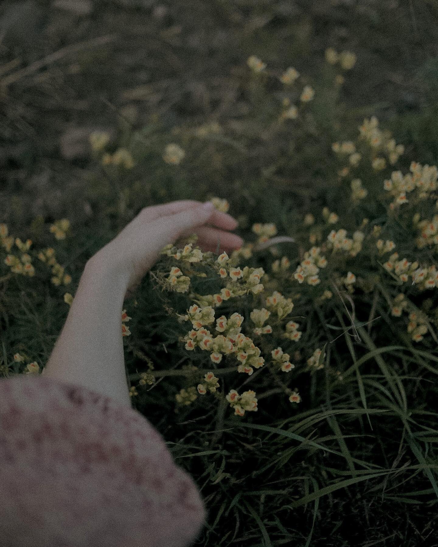 Sleeping in flowers,