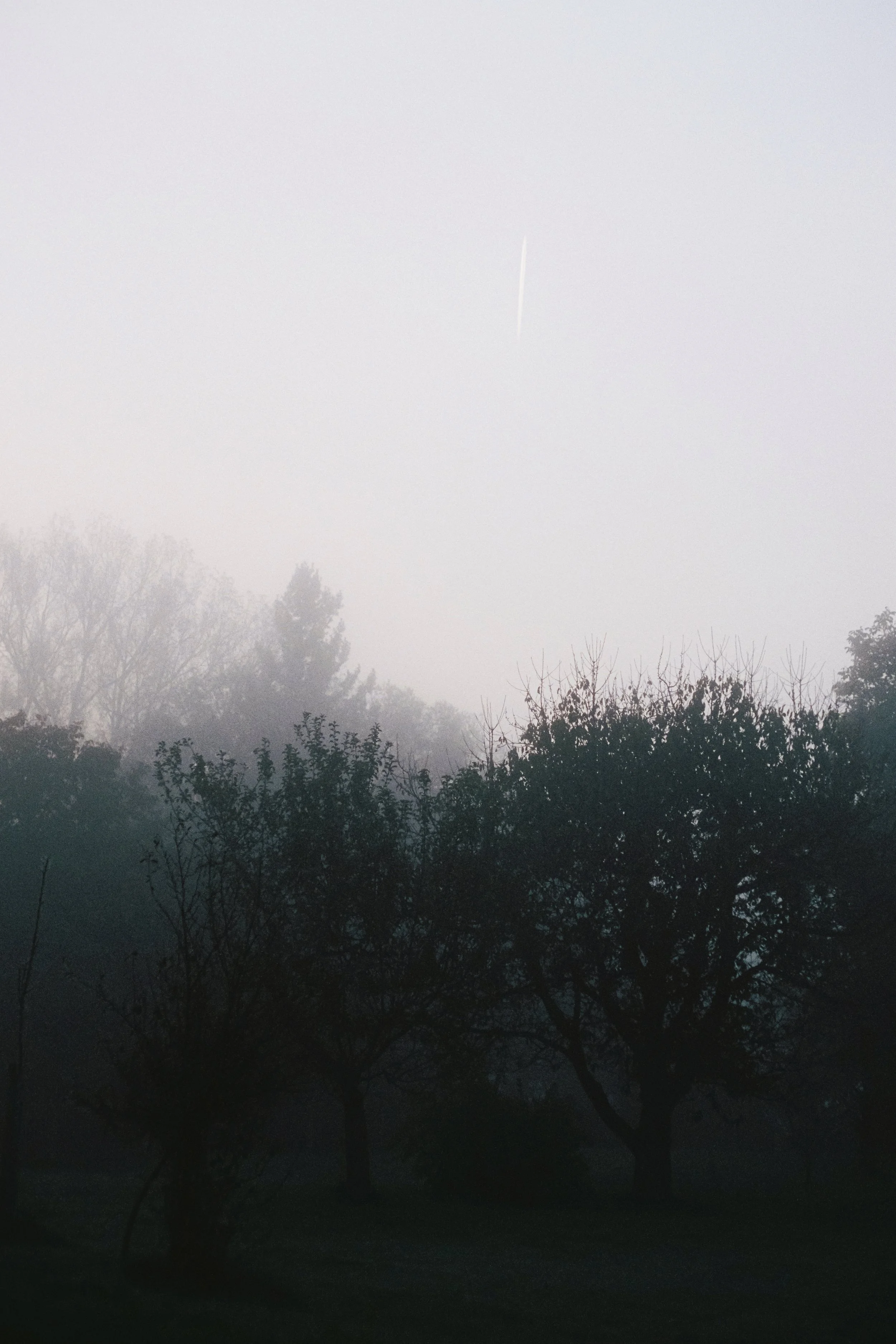 R1-07059-011A.jpg