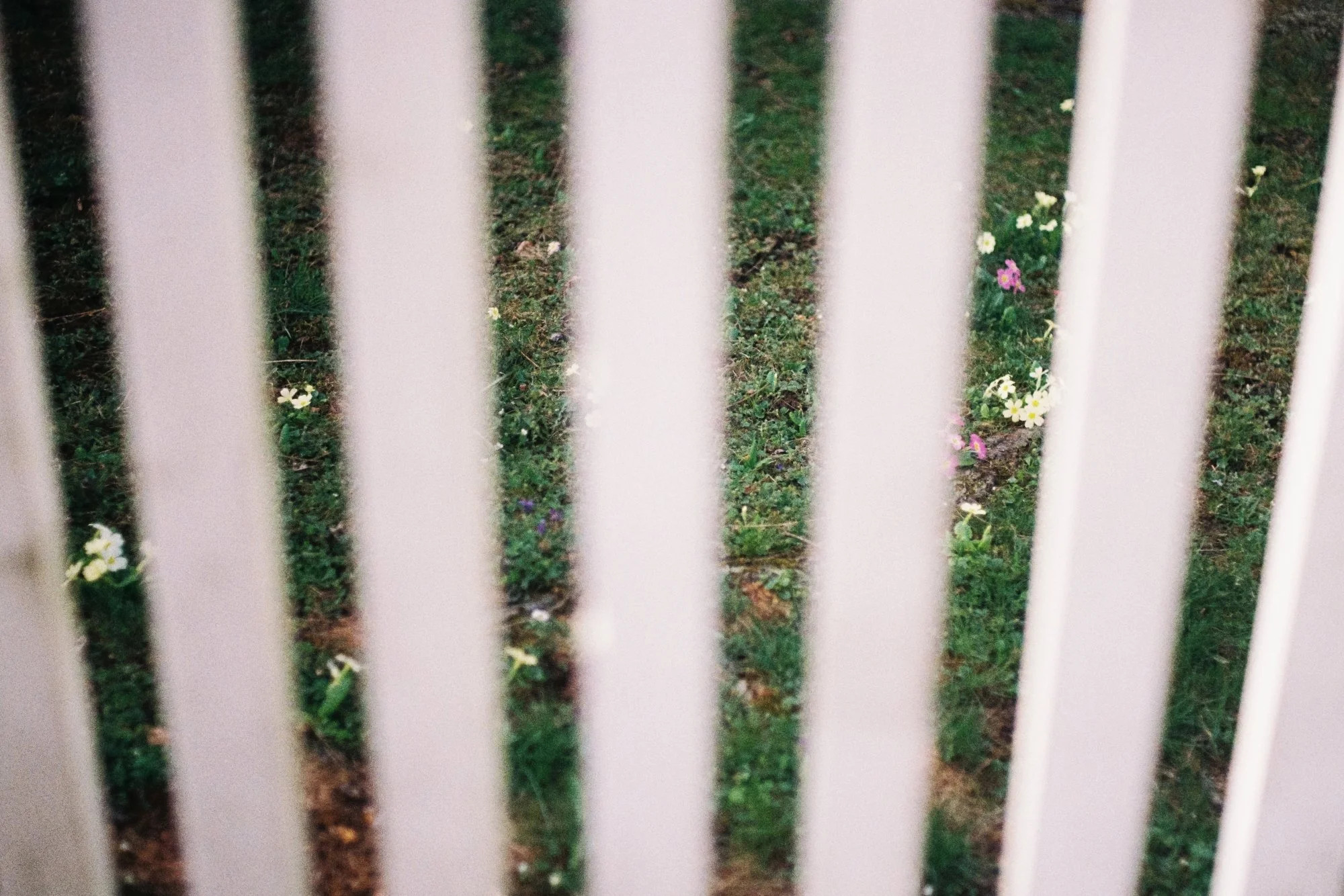 R1-03515-0001defe.jpg