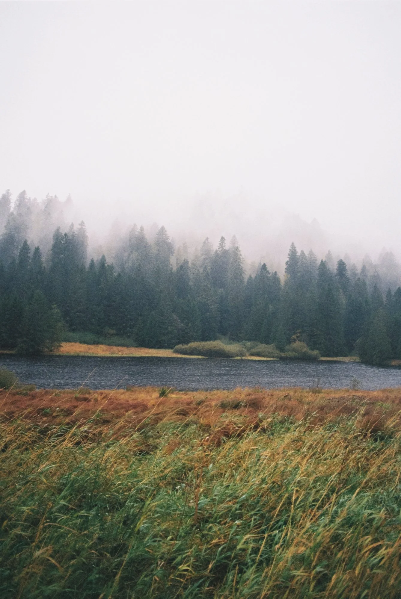 R1-00740-000A1.jpg