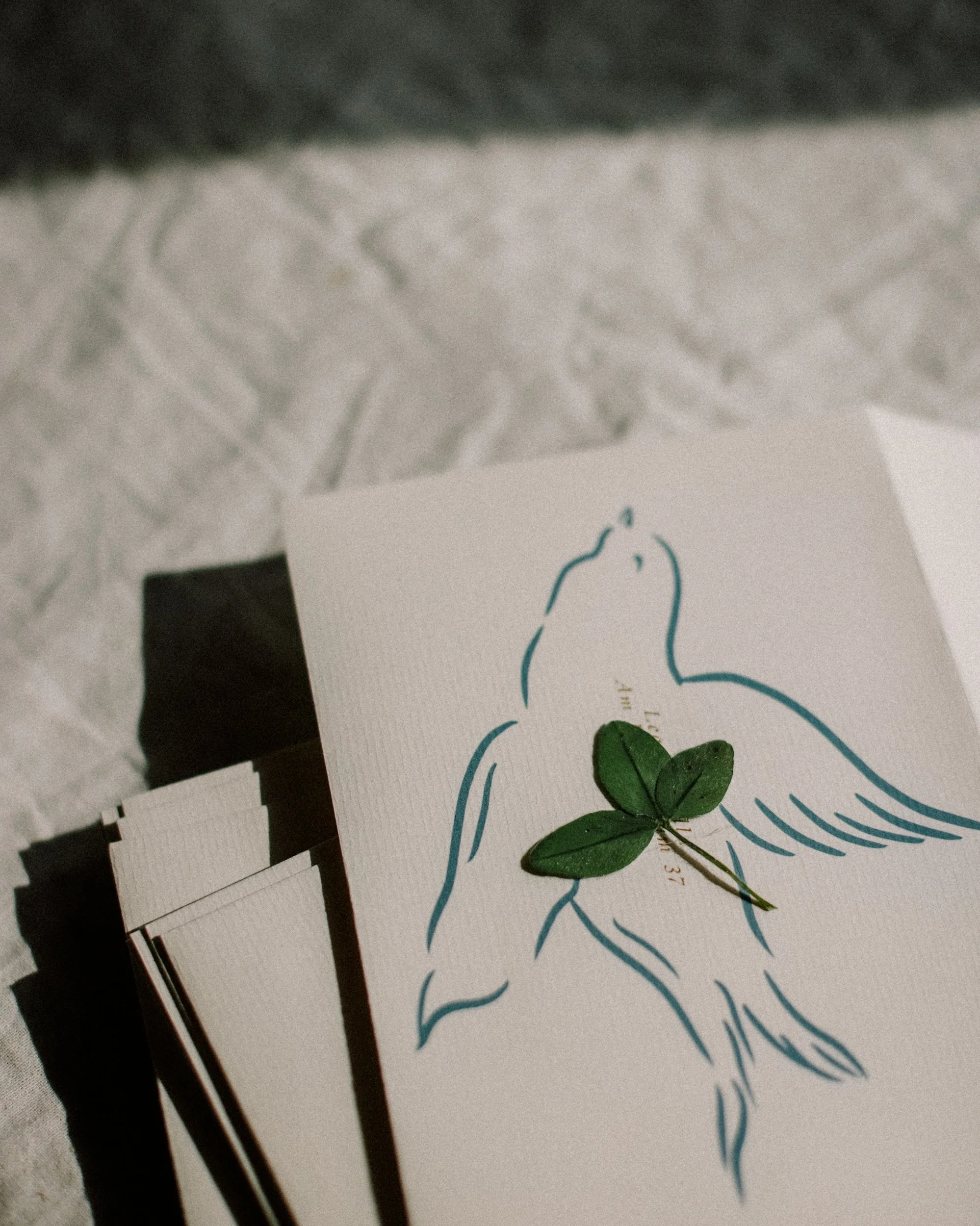 Meadow Letters - Snailmail Club