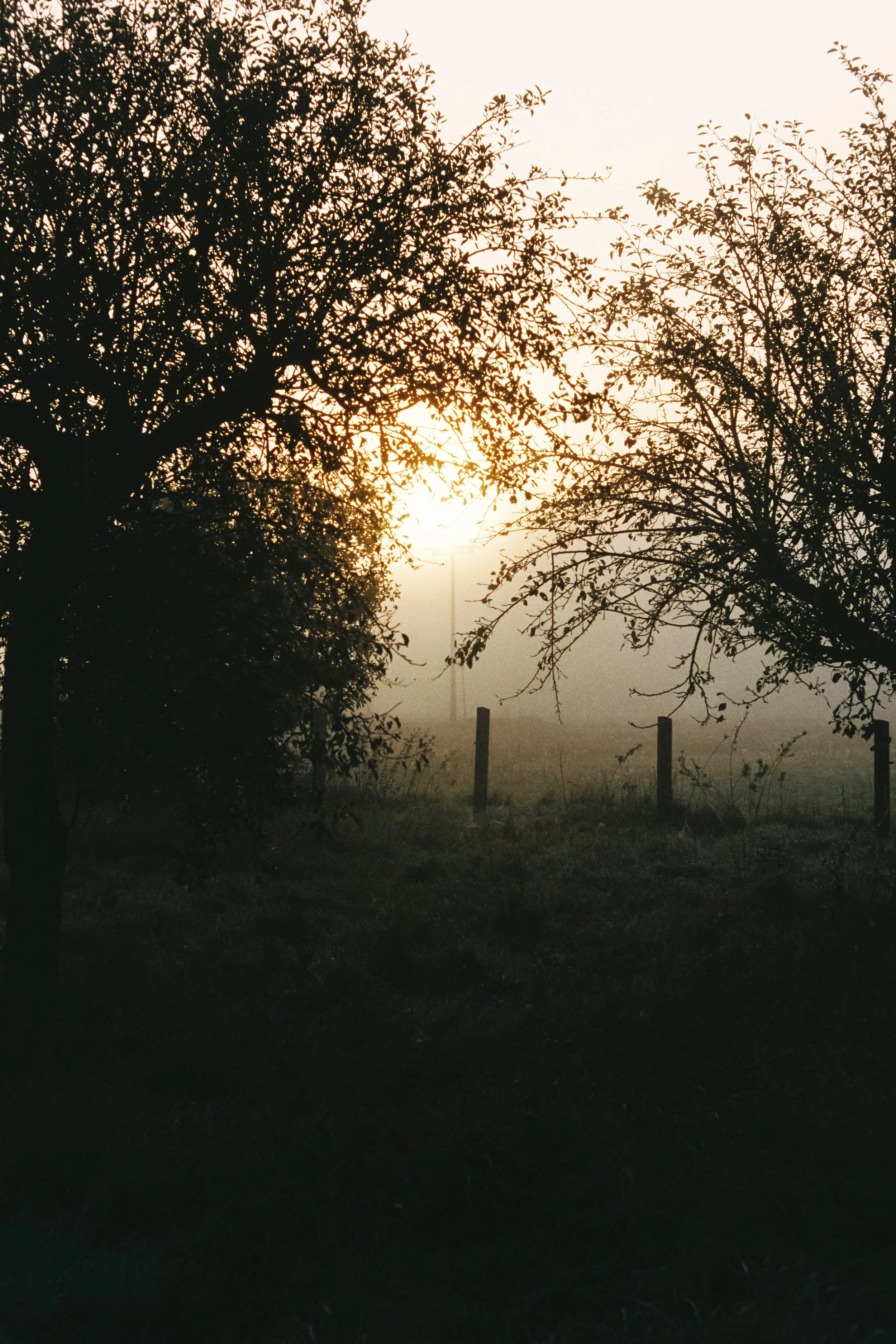 R1-07059-017A.jpg