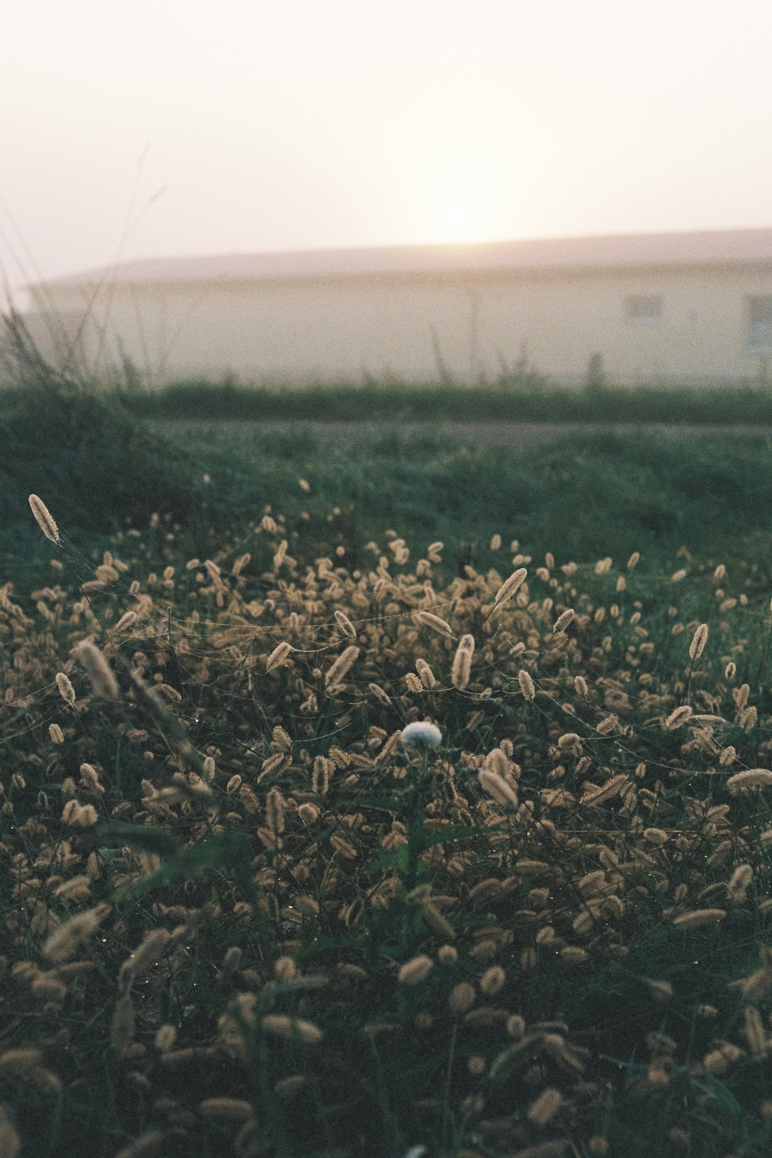 R1-07059-016A.jpg
