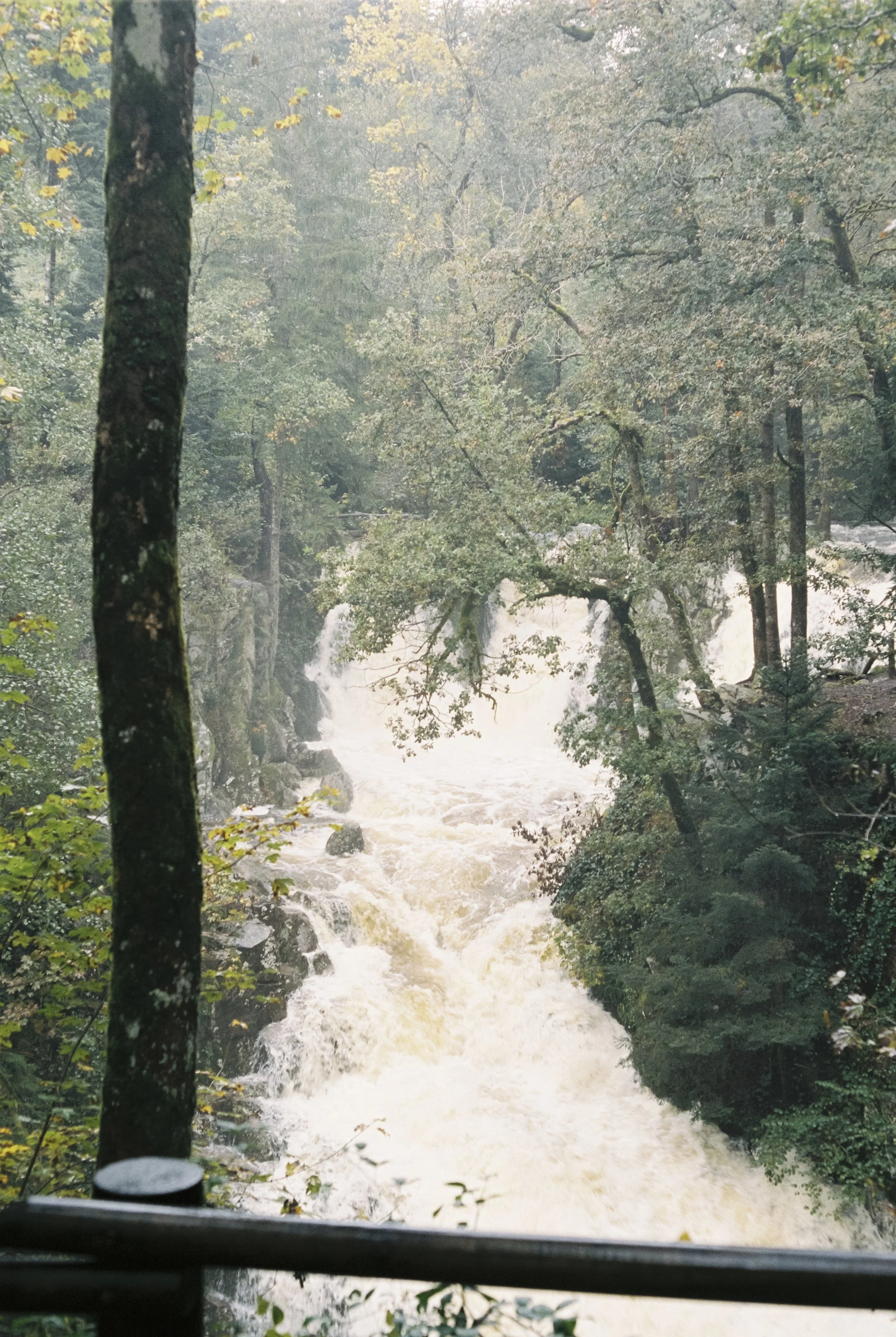 R1-00742-021A.jpg