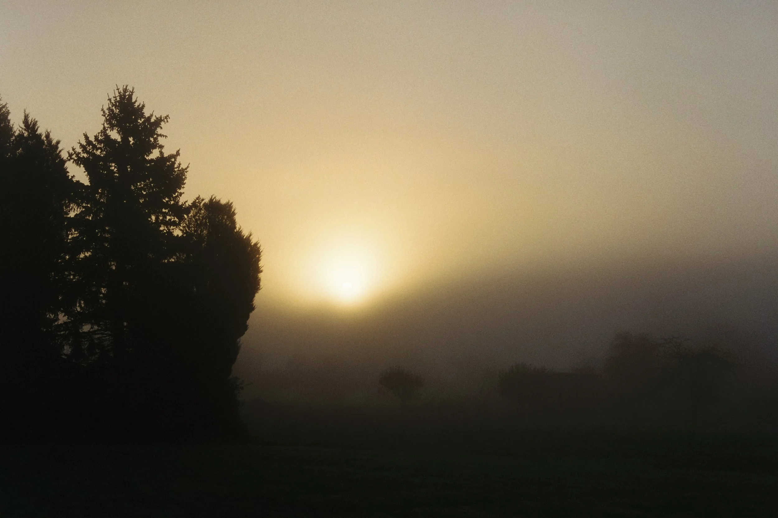R1-07059-018A.jpg