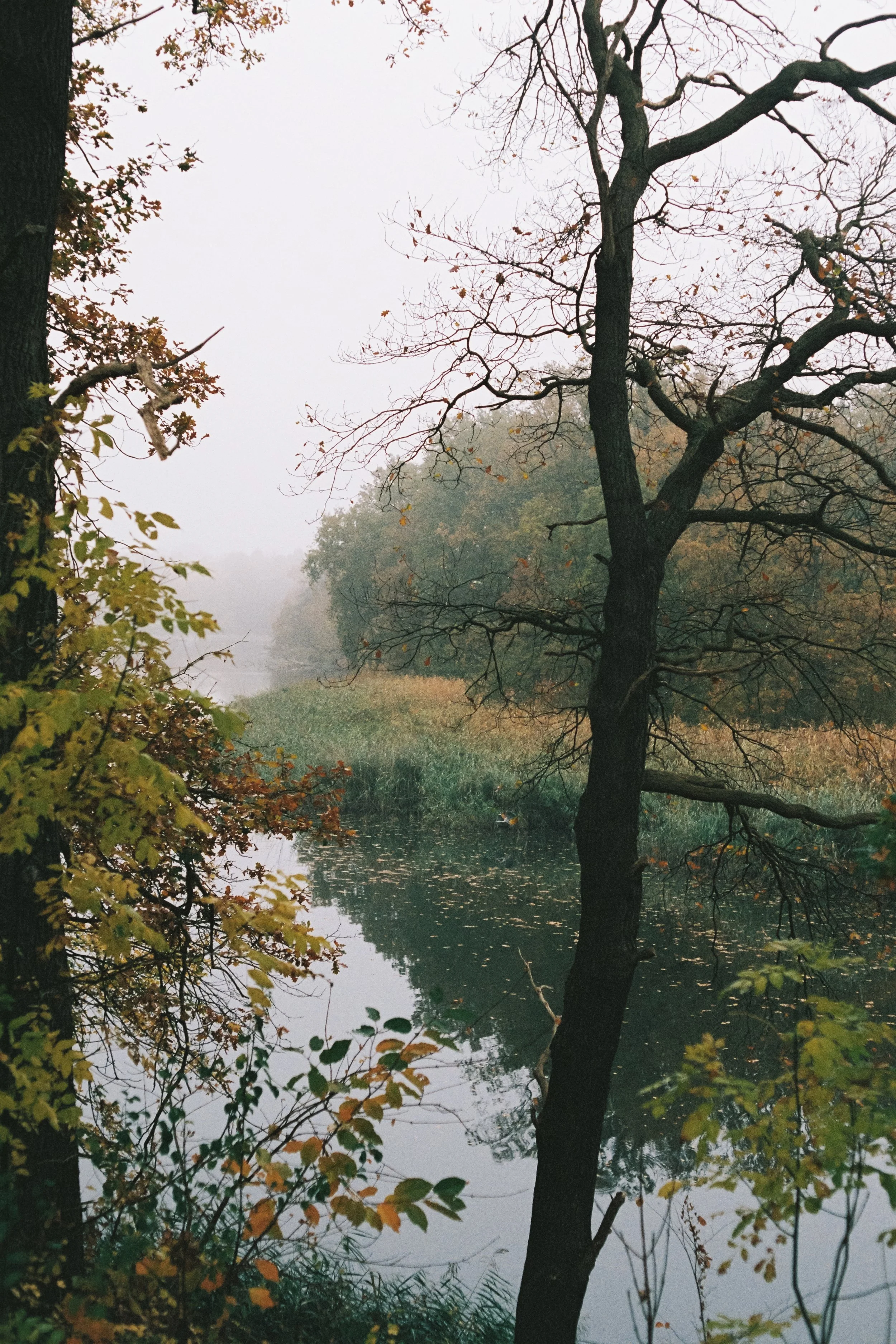 R1-07059-036A.jpg
