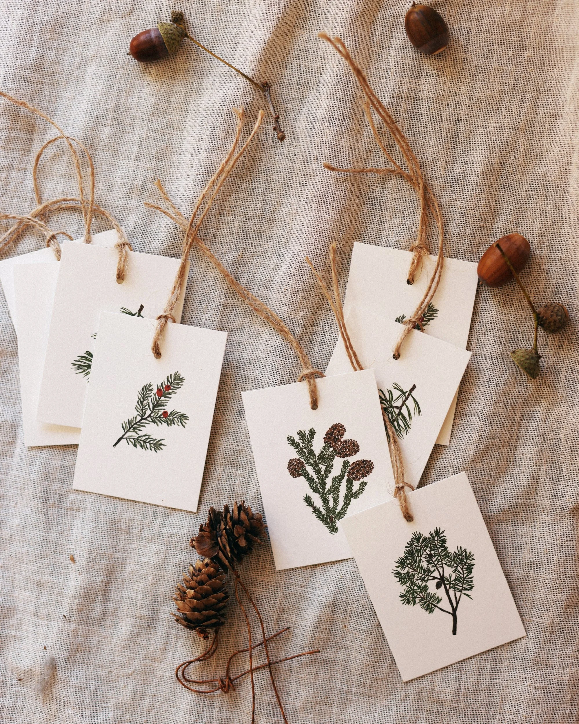 shoptags4defe.jpg