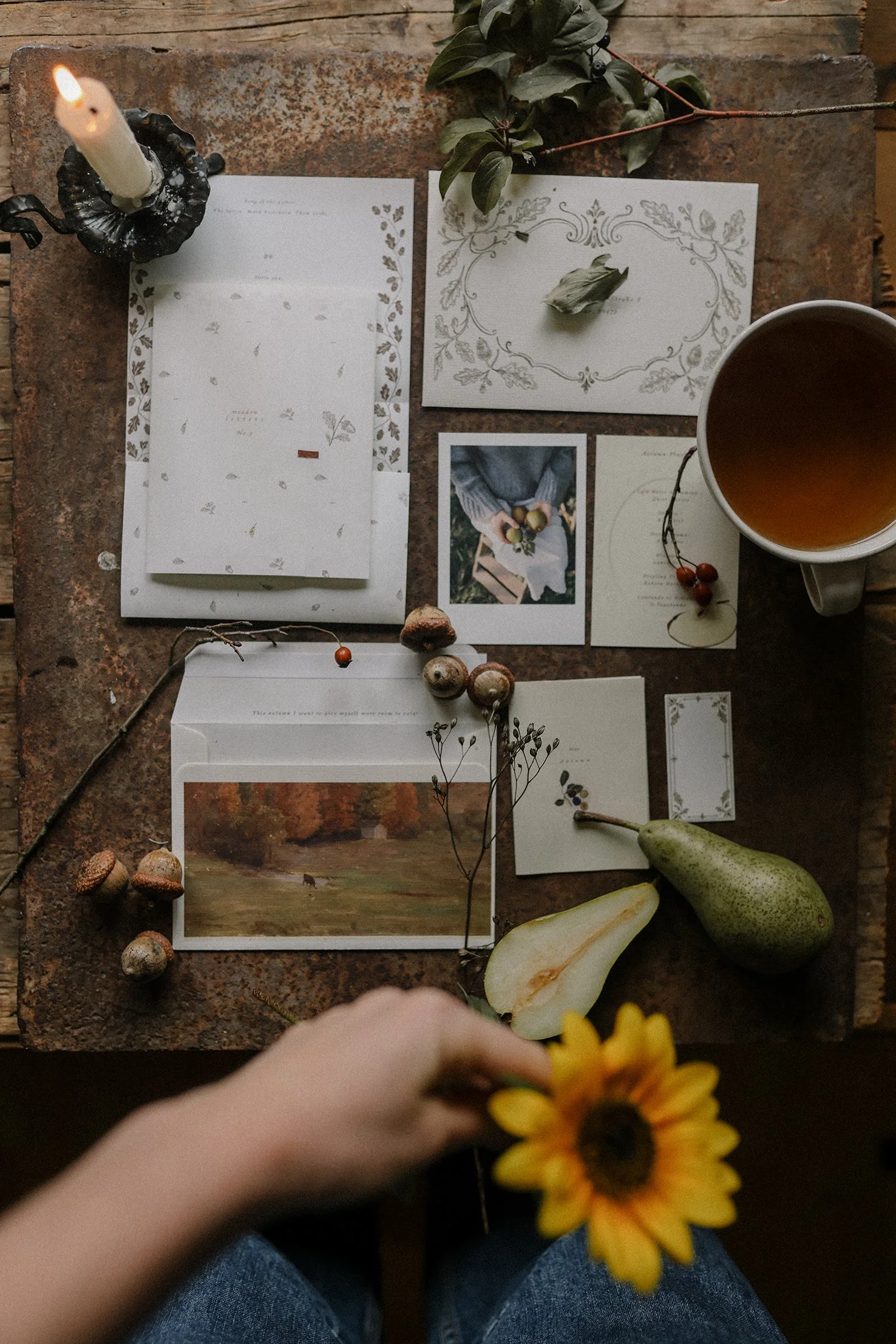 Meadow Letters - Snailmail Club (EU Letters will be digital -except Germany and France)