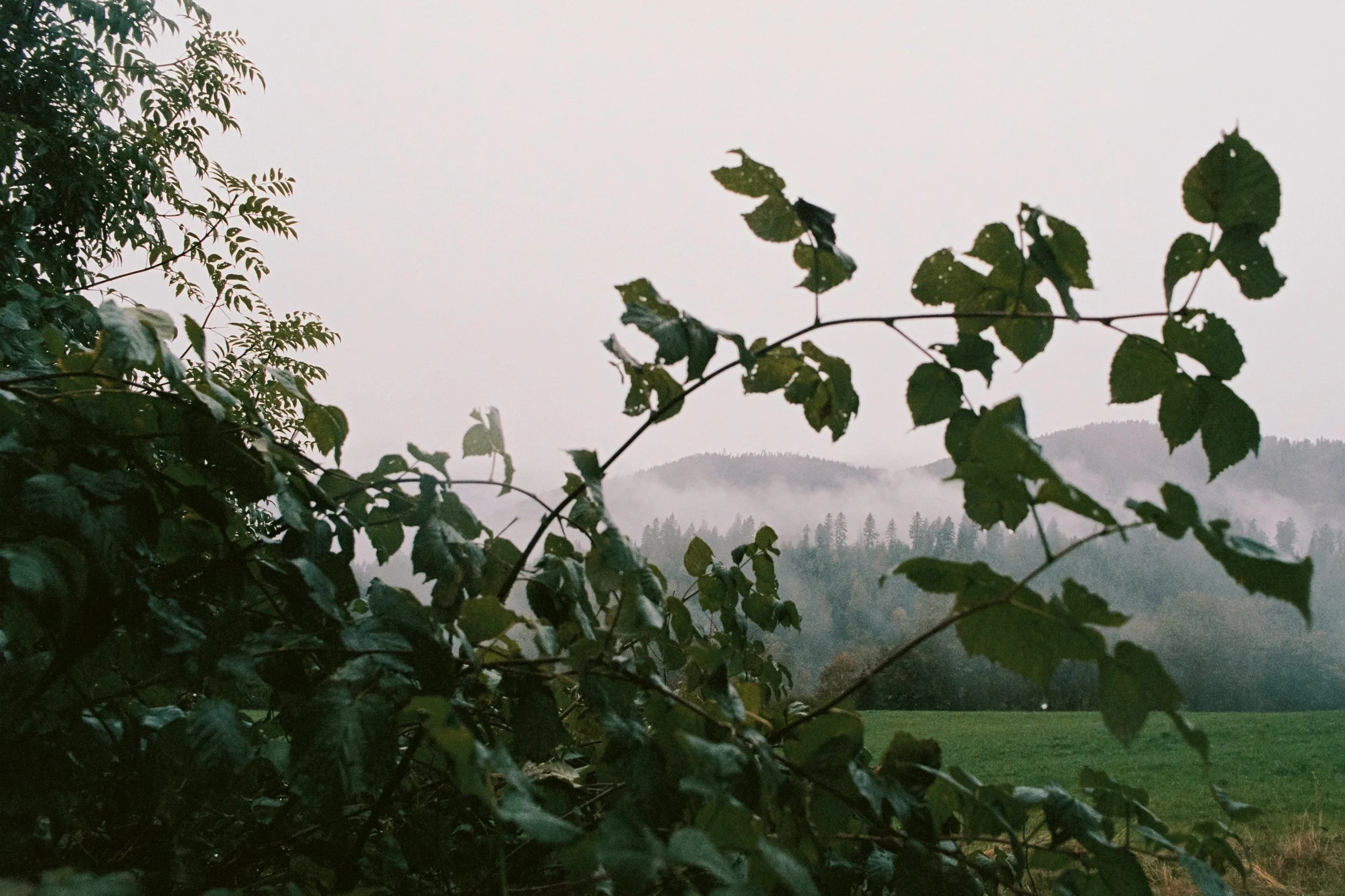 R1-00742-019A.jpg