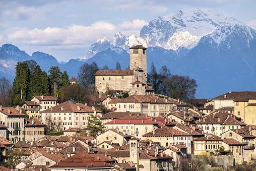 zzfeltre.jpg