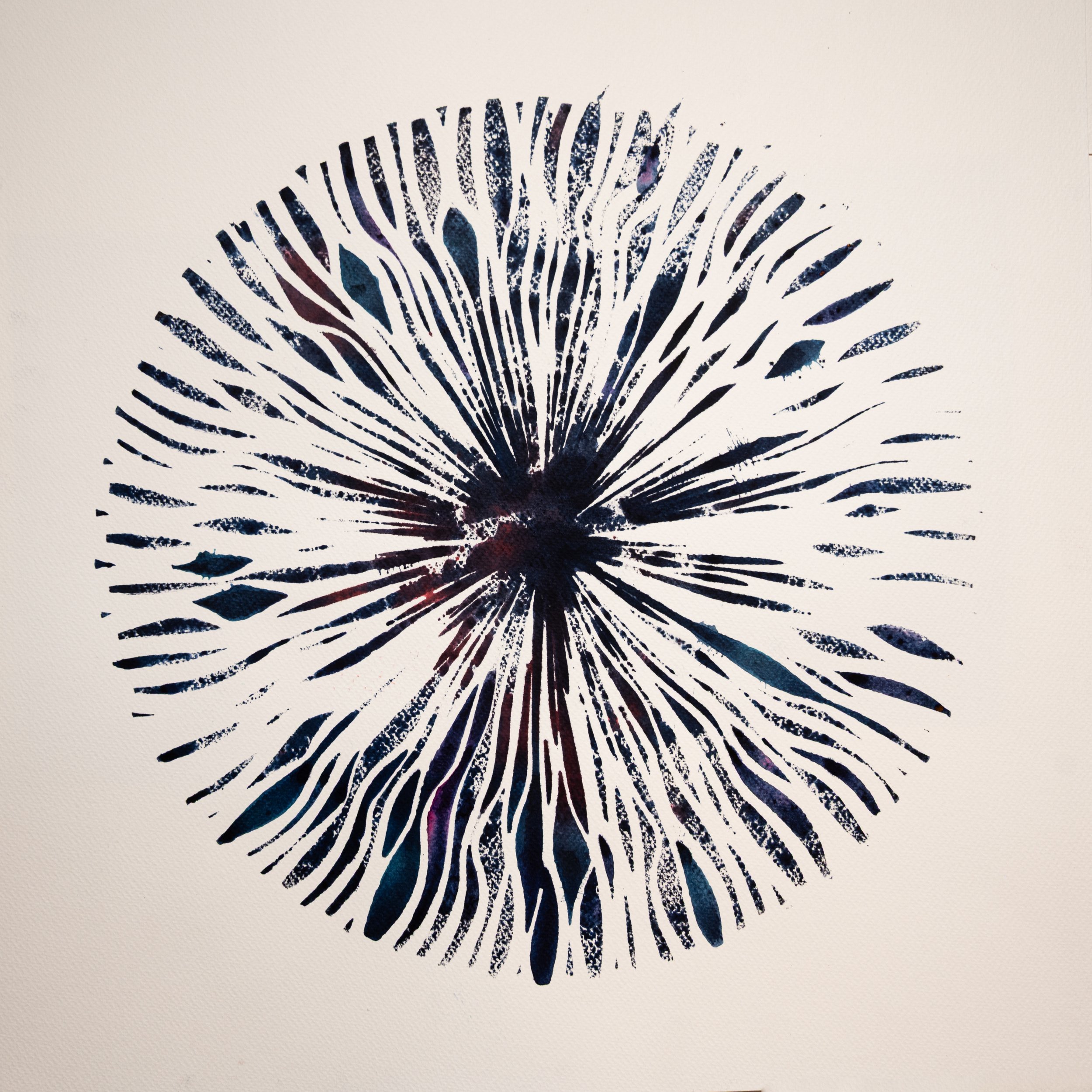 EYE 01-1
