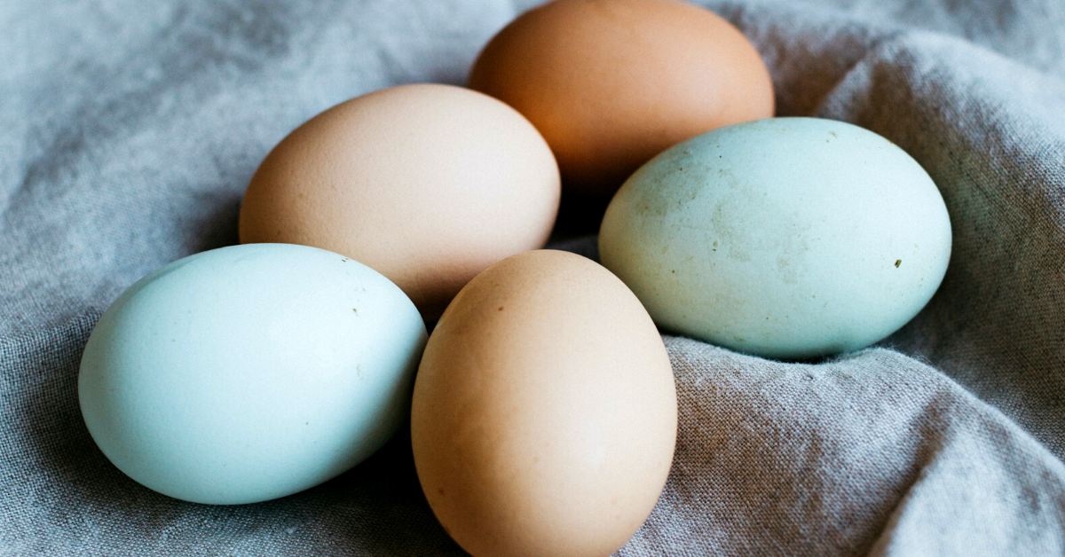 Egg Rais Pasture Raised Eggs — Oakstream Pastures