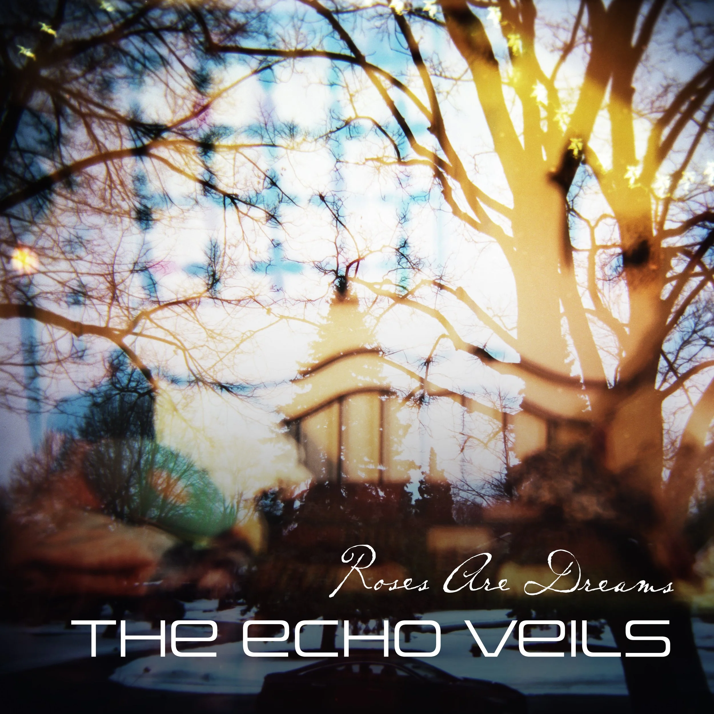The Echo Veils - Roses Are Dreams
