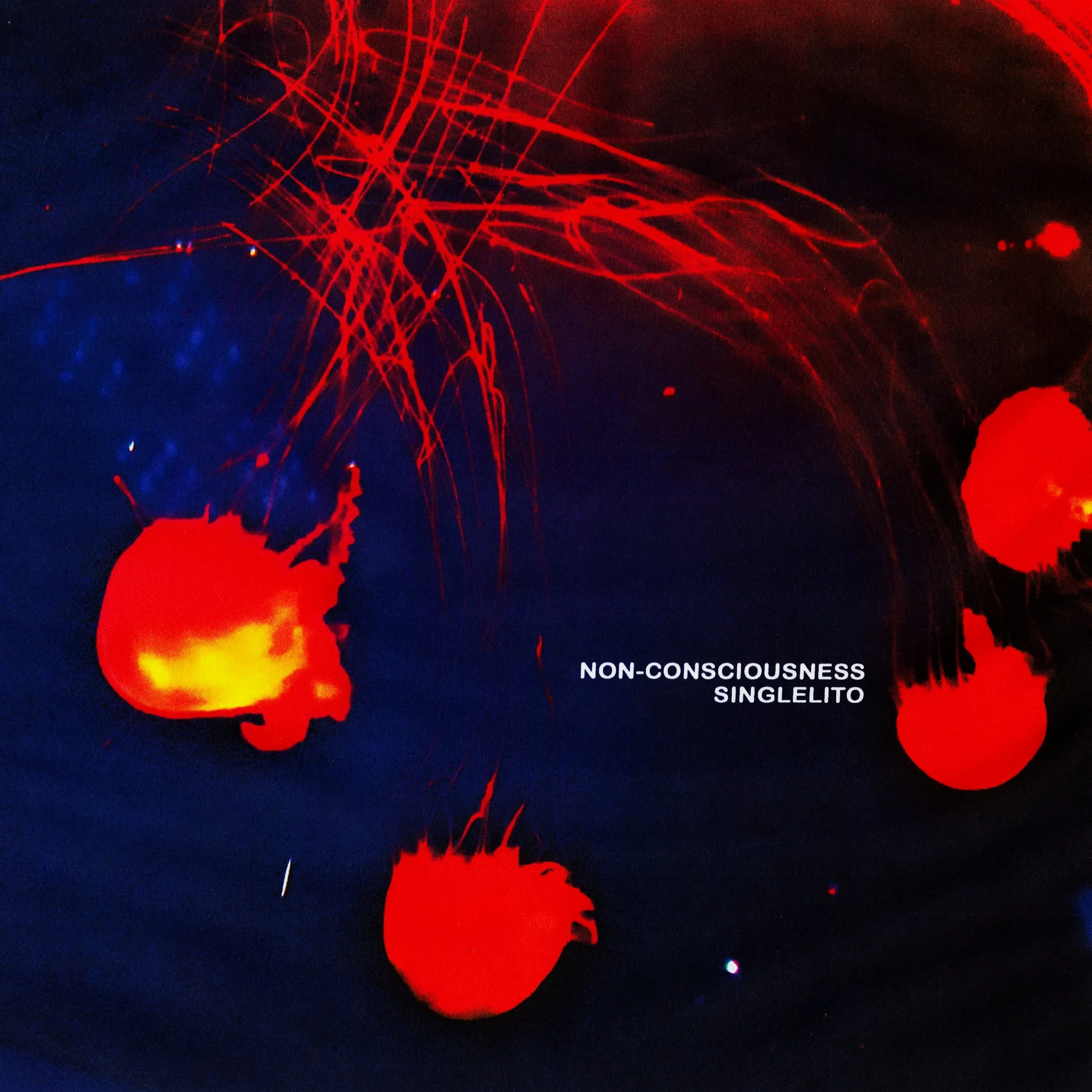 Singlelito - Non-Consciousness