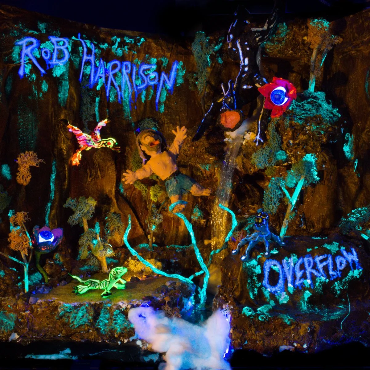 Rob Harrison - Overflow