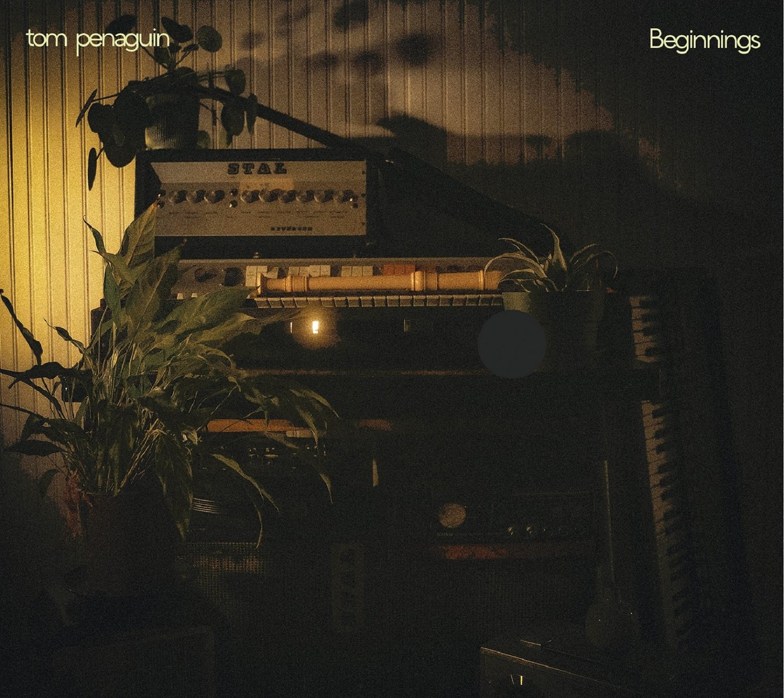Tom Penaguin - Beginnings